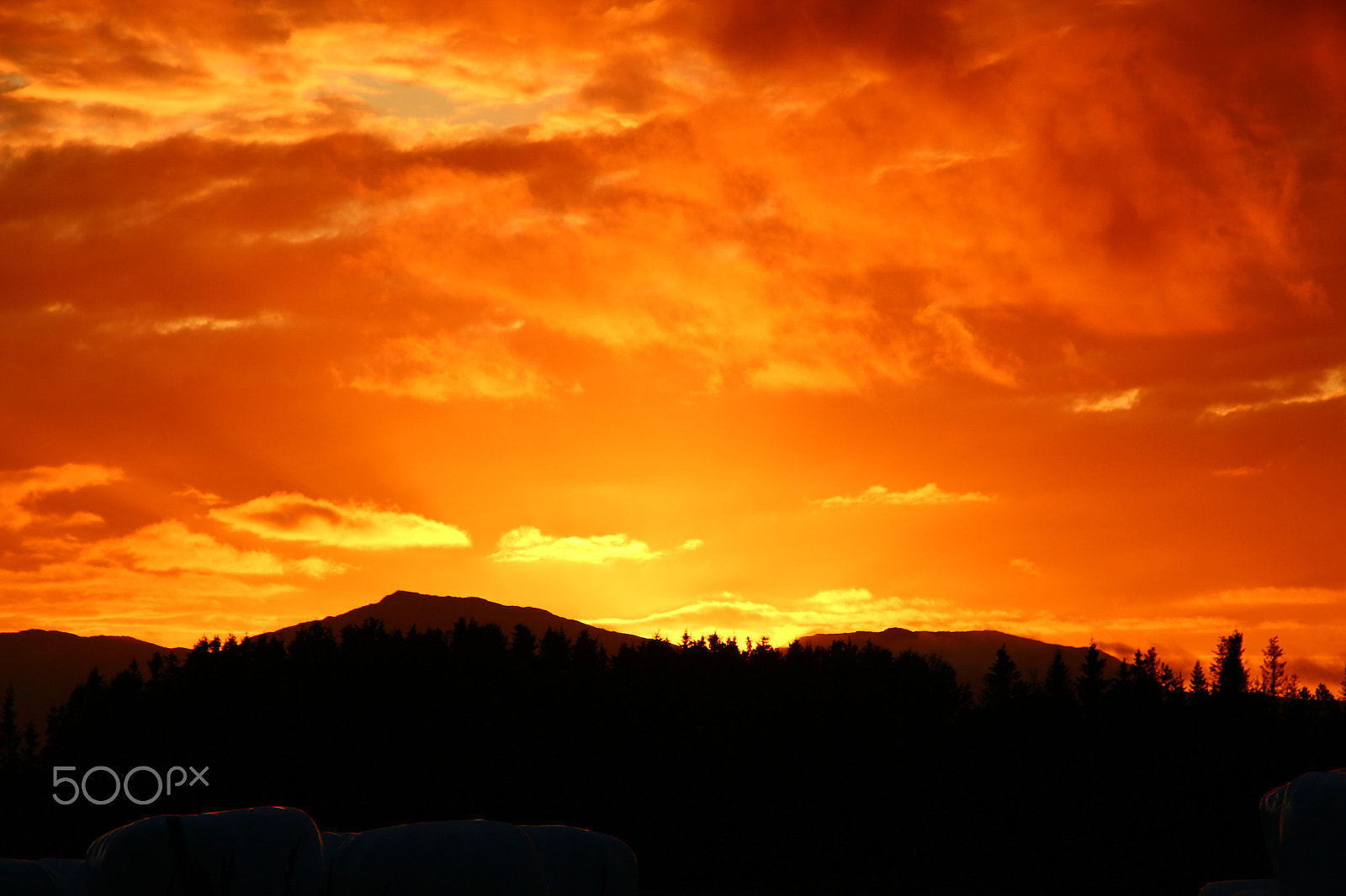Sigma 18-200mm f/3.5-6.3 DC OS sample photo. Firesky photography