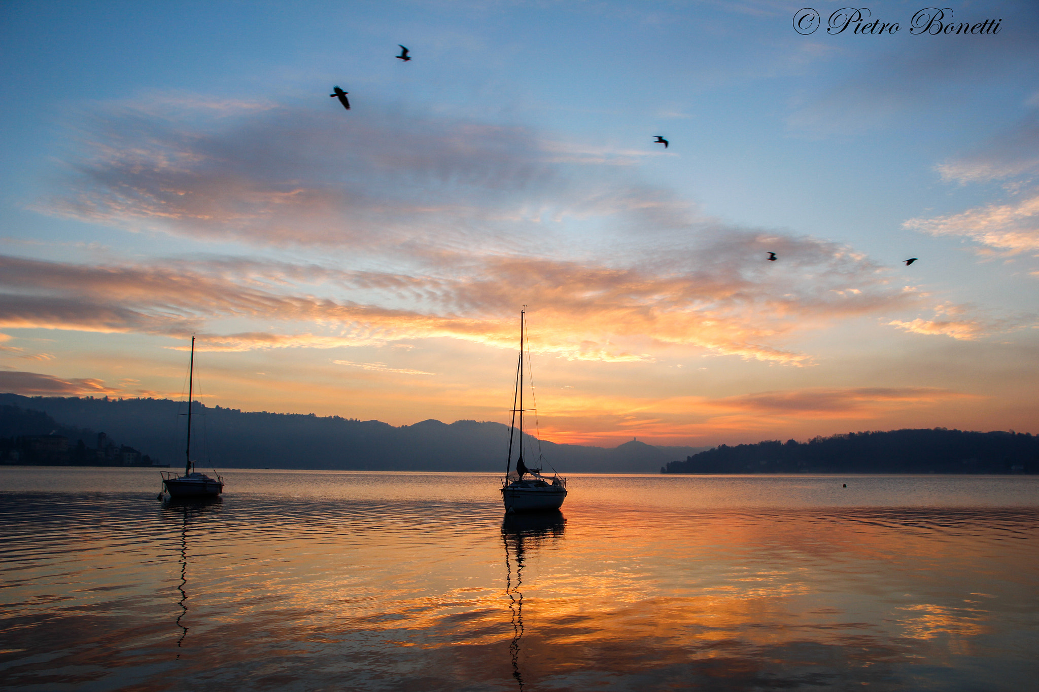 Canon EOS 60D sample photo. The wings of freedom photography