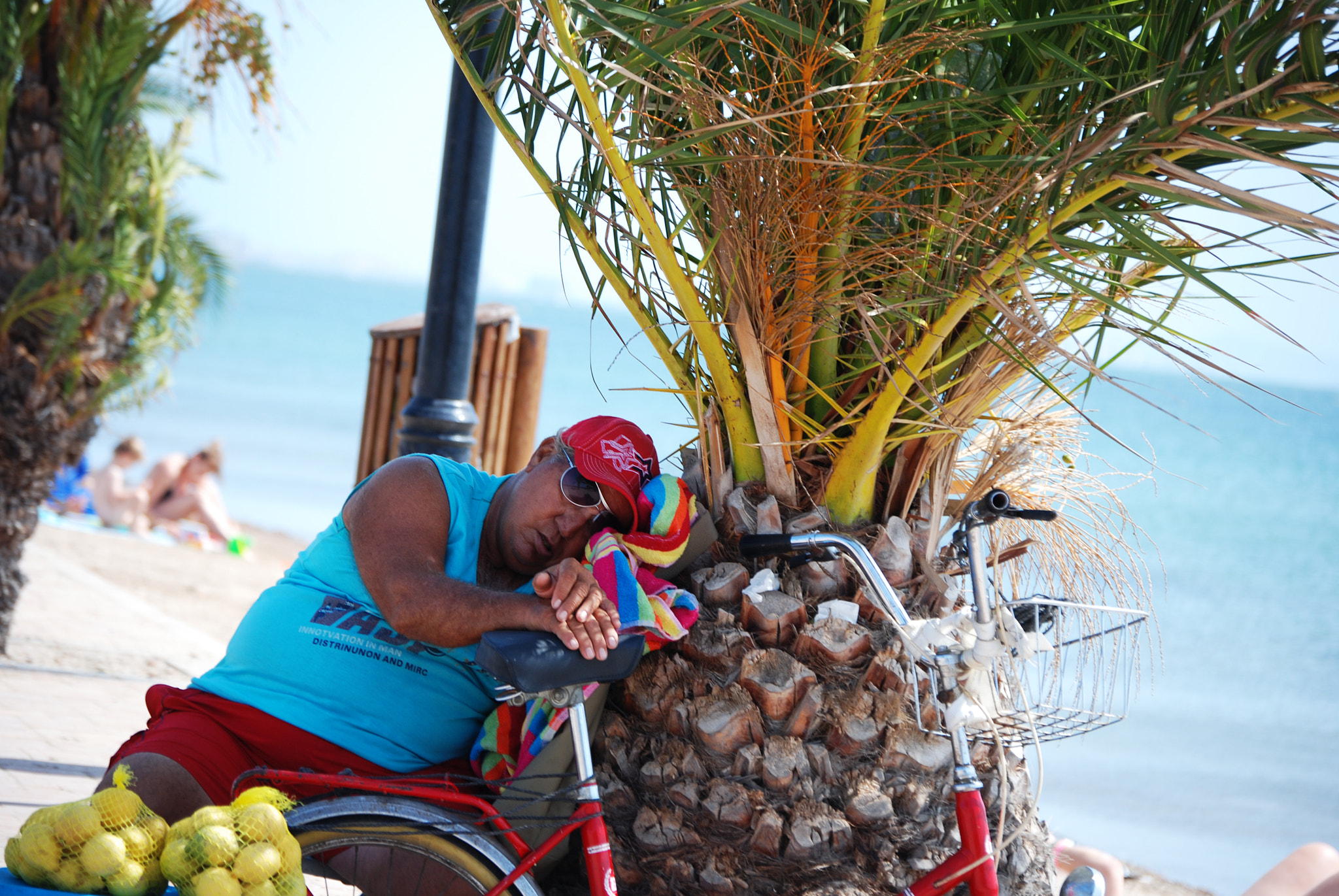 Nikon D80 sample photo. Lemon salesman photography