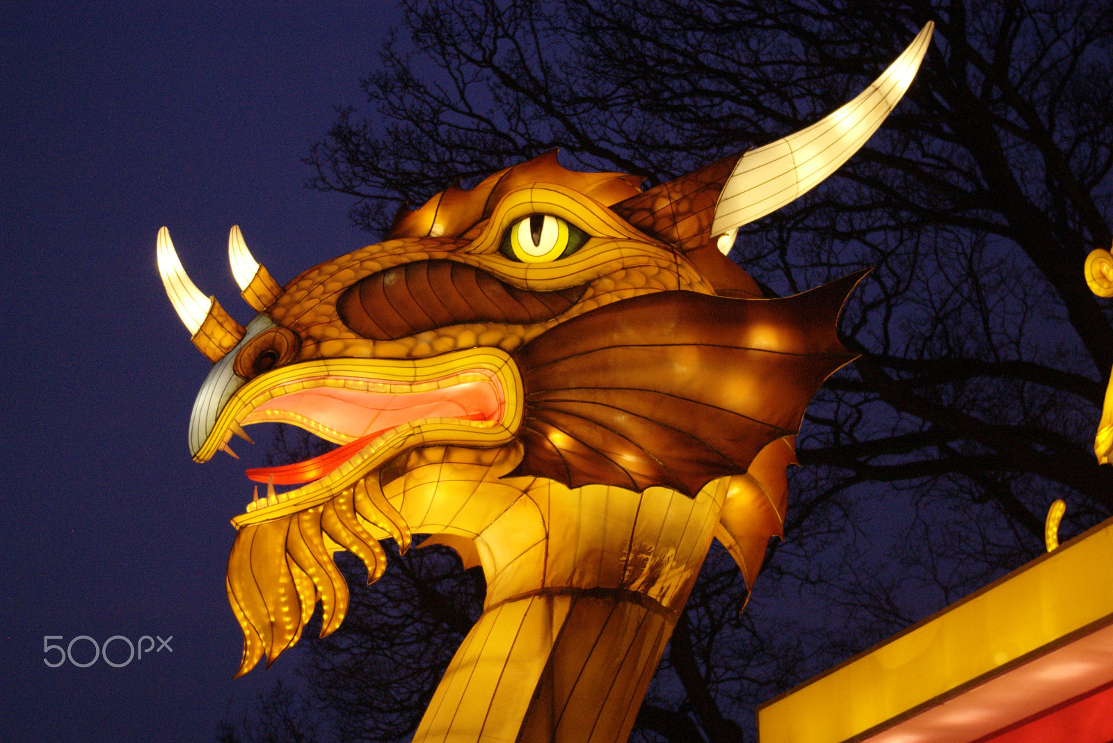 Pentax K100D Super sample photo. Dragon's head photography