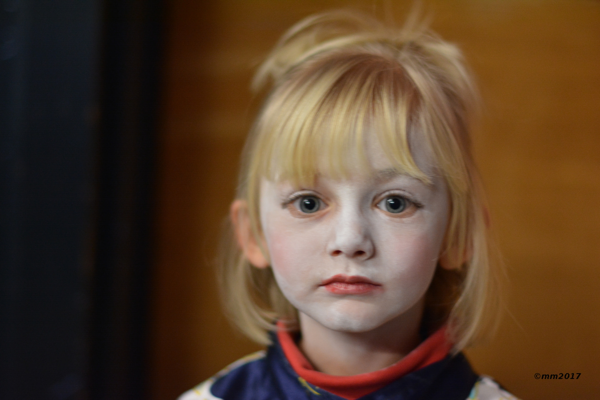 Nikon D5200 + Nikon AF-S Nikkor 50mm F1.4G sample photo. Une geisha ne rit pas photography