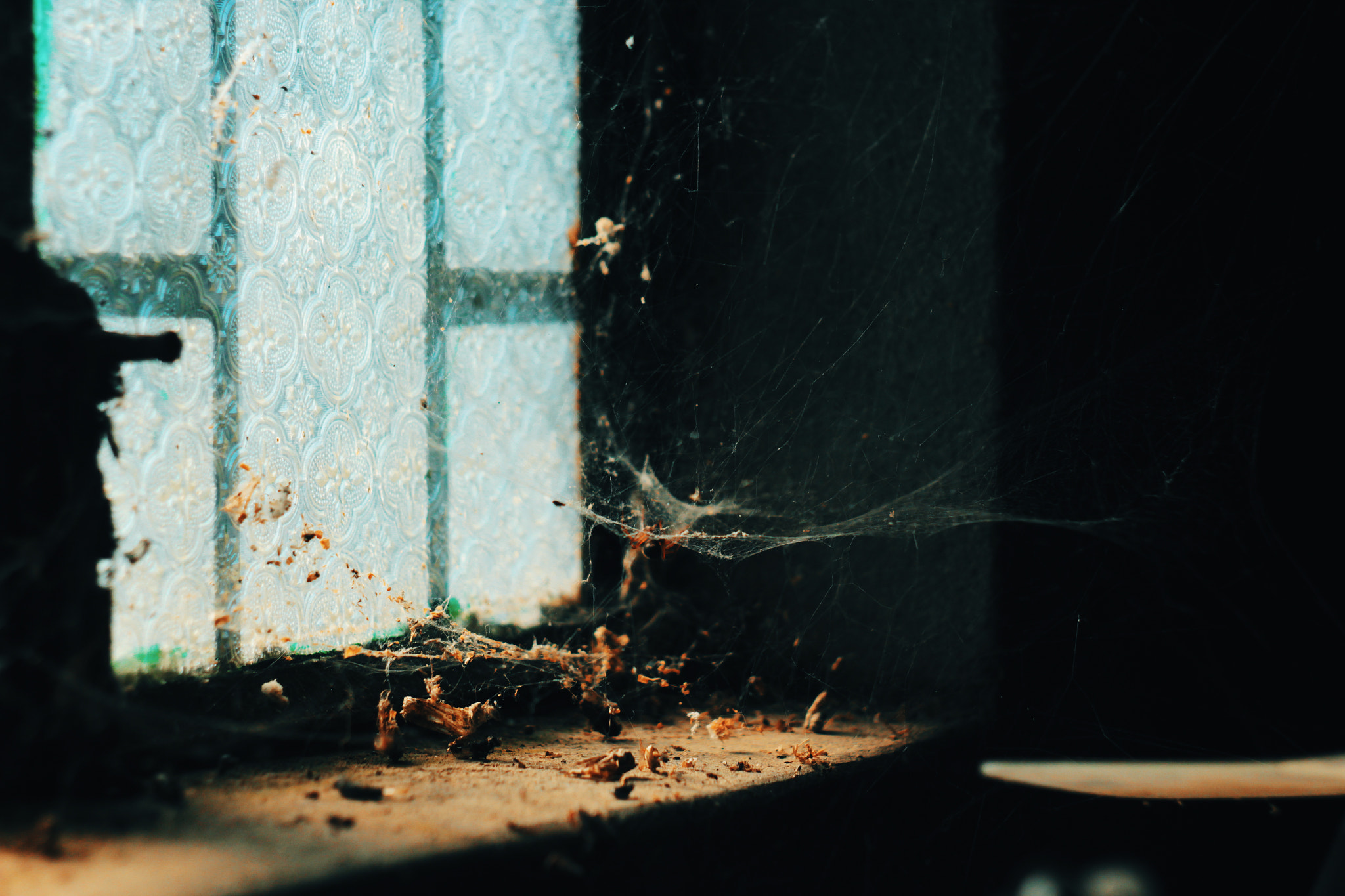 Canon EF 35-80mm f/4-5.6 sample photo. Deep web photography
