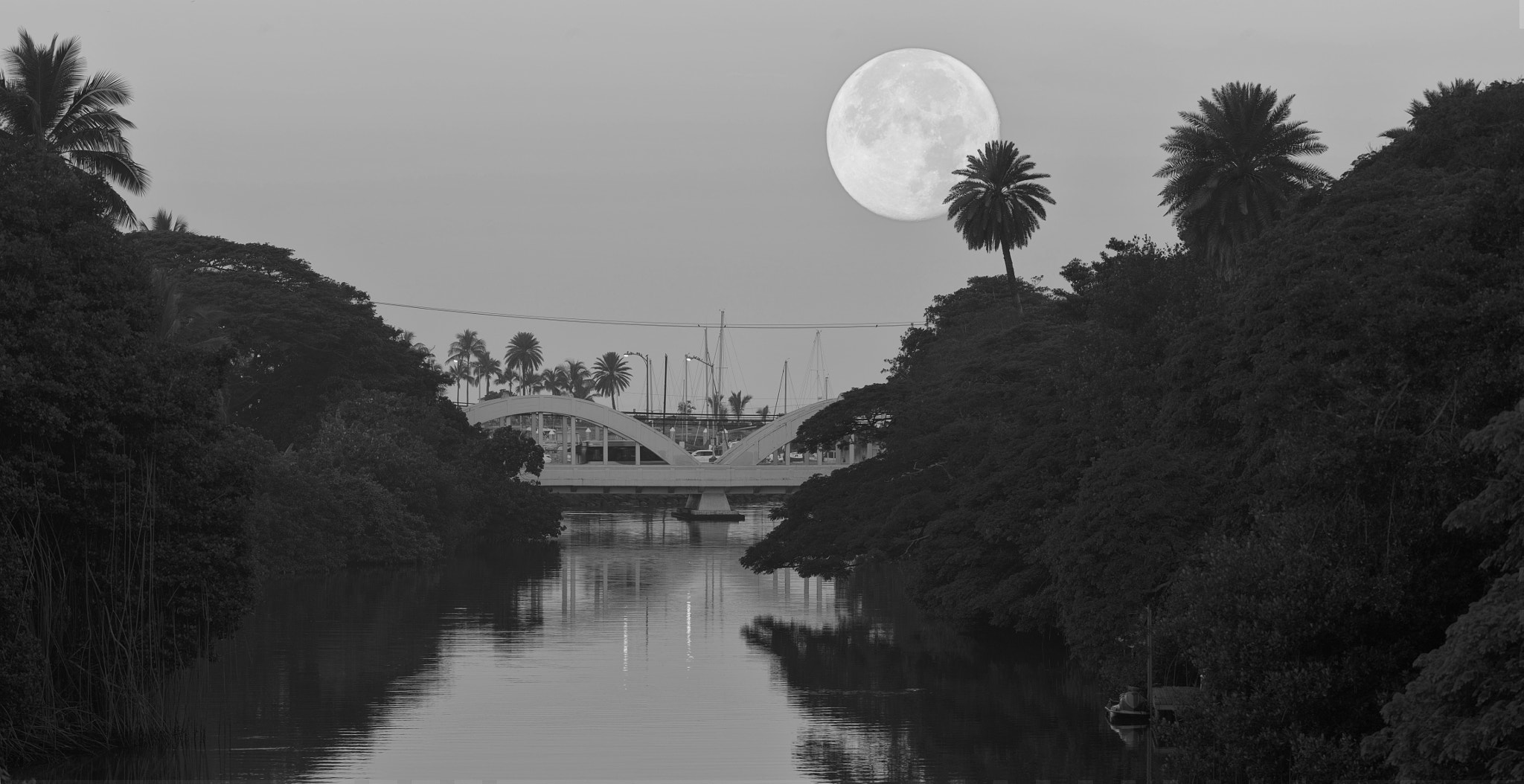Nikon AF-S Nikkor 200-500mm F5.6E ED VR sample photo. Full moon over rainbow bridge photography