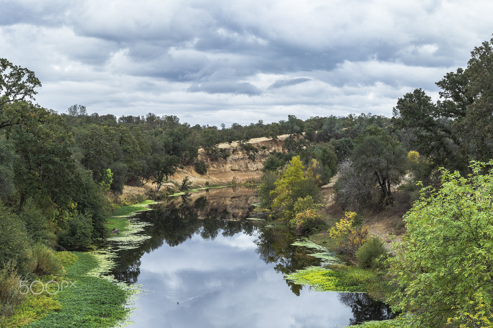 Sony a99 II sample photo. Cow creek photography