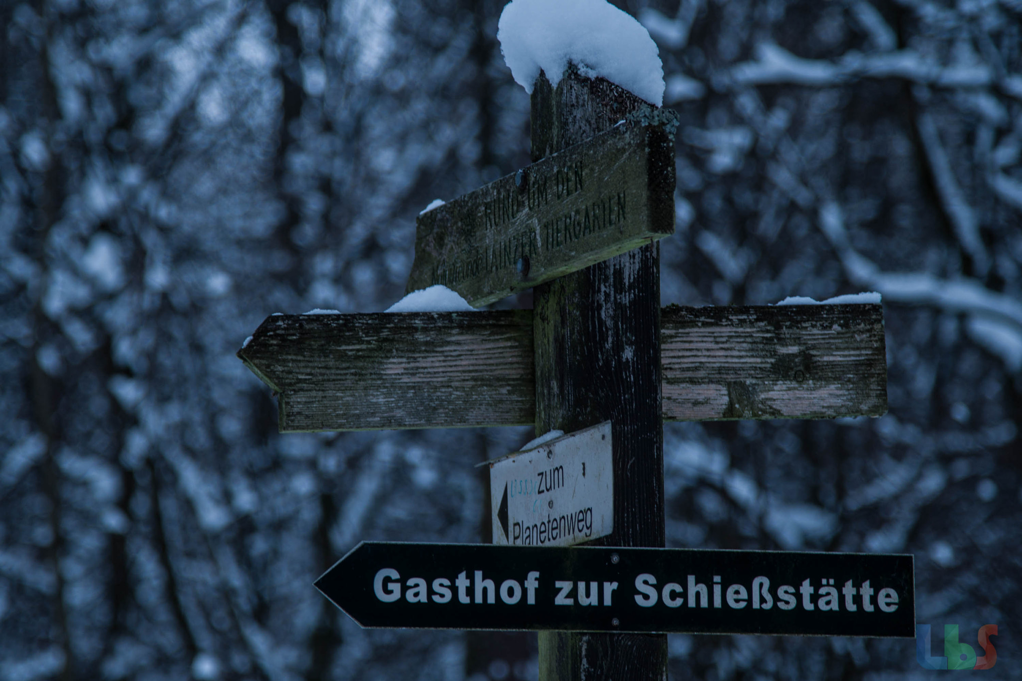 Tamron 18-270mm F3.5-6.3 Di II PZD sample photo. Signpost photography