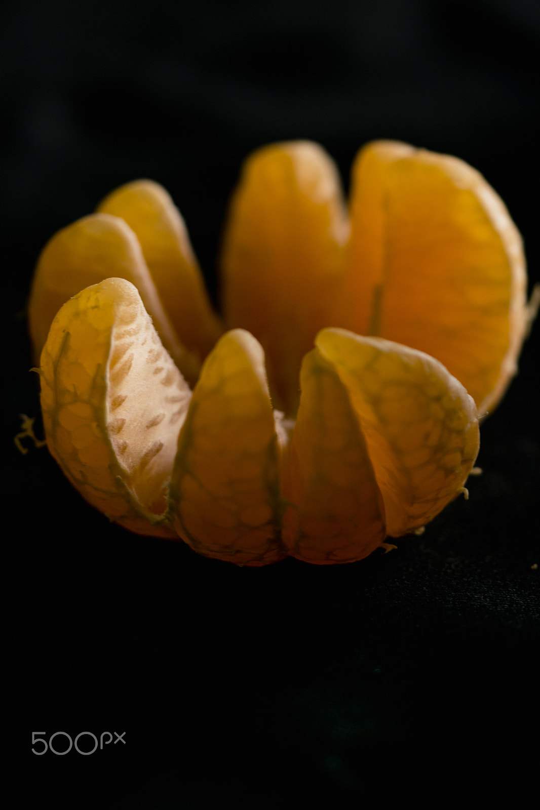 Sigma 150mm F2.8 EX DG Macro HSM sample photo. Tangerine #3 photography
