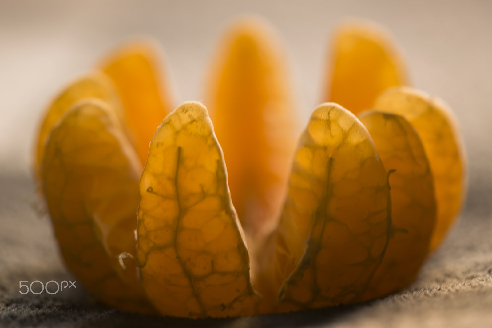 Sigma 150mm F2.8 EX DG Macro HSM sample photo. Tangerine #4 photography