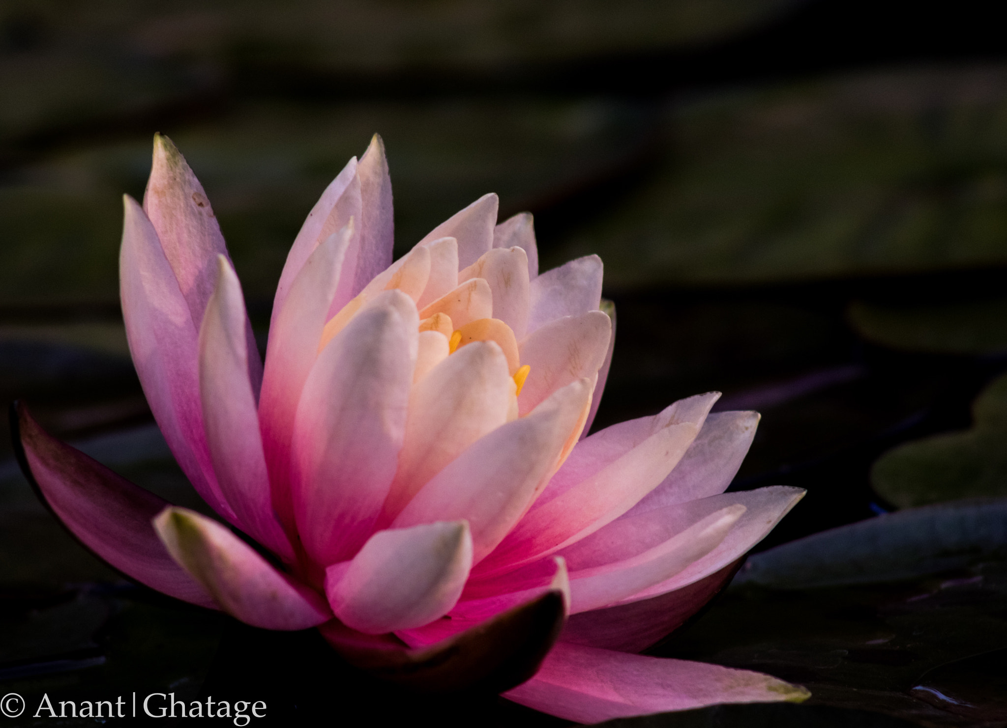 EF75-300mm f/4-5.6 sample photo. Weekend outing... photography