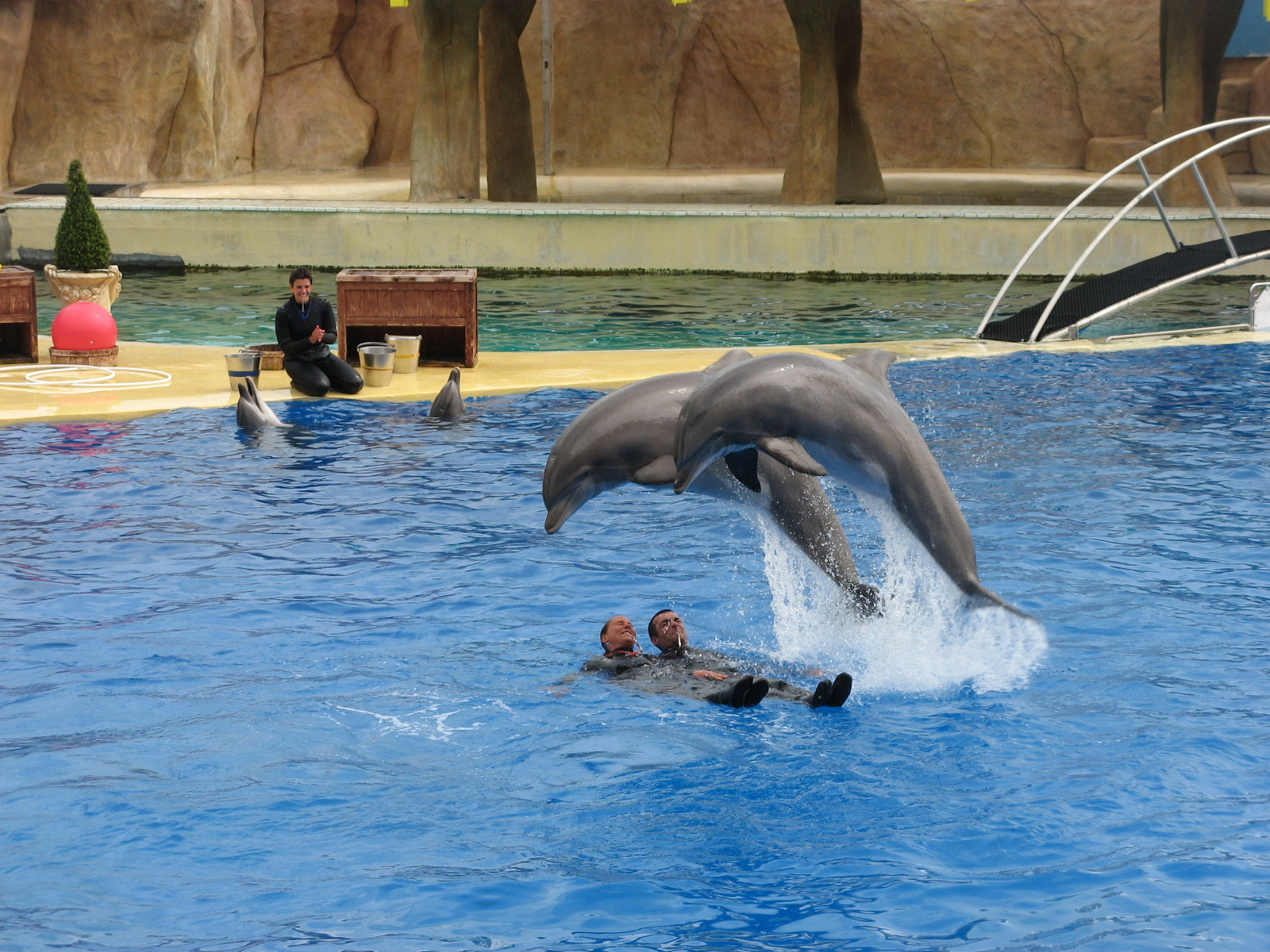 Canon POWERSHOT A700 sample photo. Marineland photography
