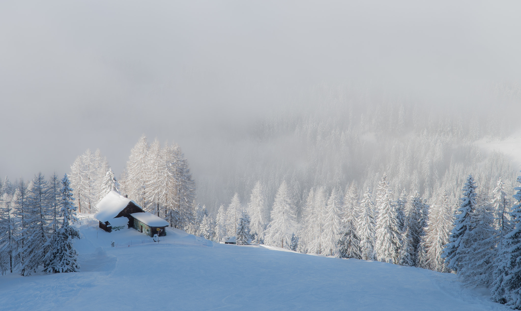 Nikon D500 sample photo. The lonely chalet photography