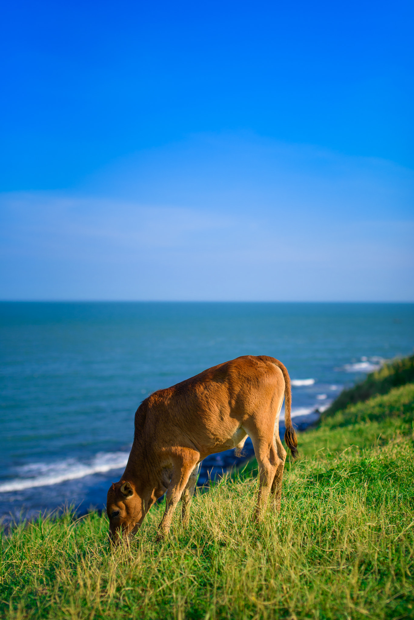 Nikon D750 + Sigma 50mm F1.4 EX DG HSM sample photo. Dsc photography