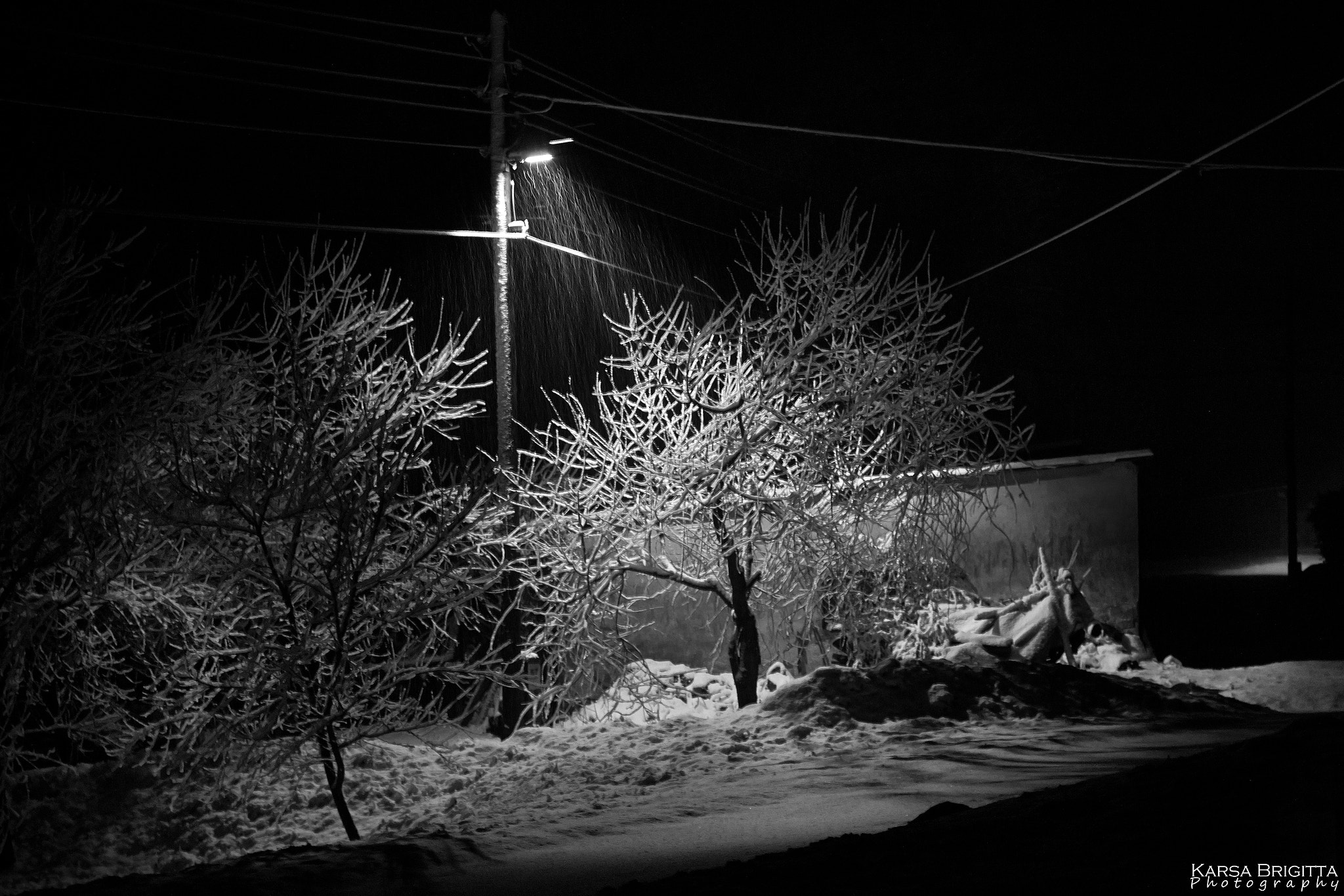 Canon EOS 550D (EOS Rebel T2i / EOS Kiss X4) + Canon EF 50mm F1.8 II sample photo. Last night photography