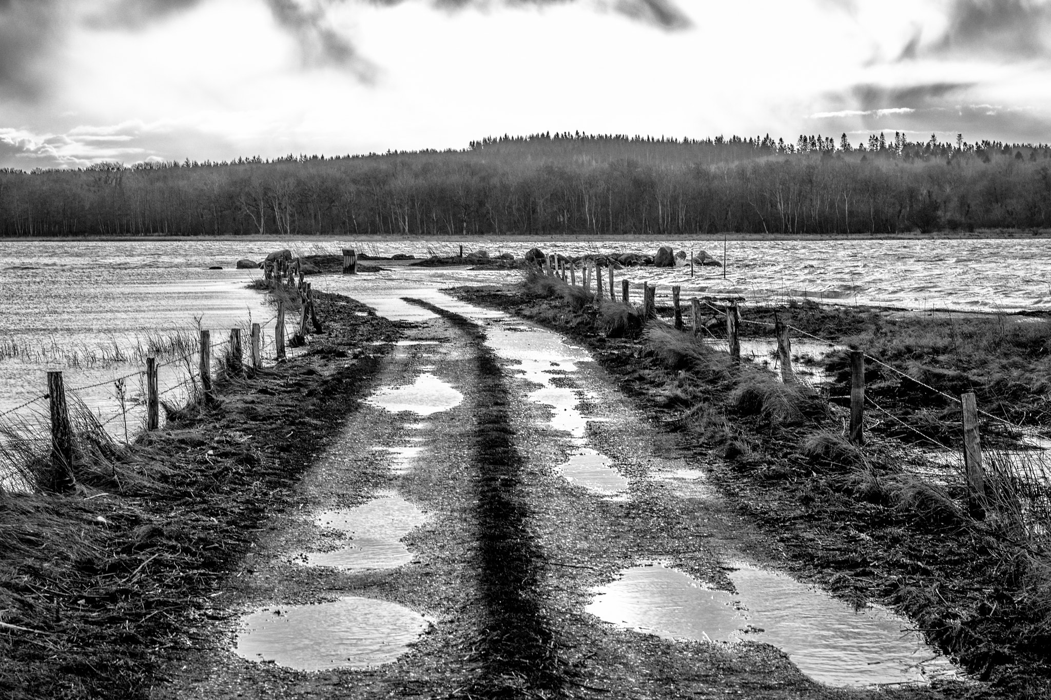Nikon D7200 + Nikon AF-S Nikkor 50mm F1.4G sample photo. Flooded field road photography