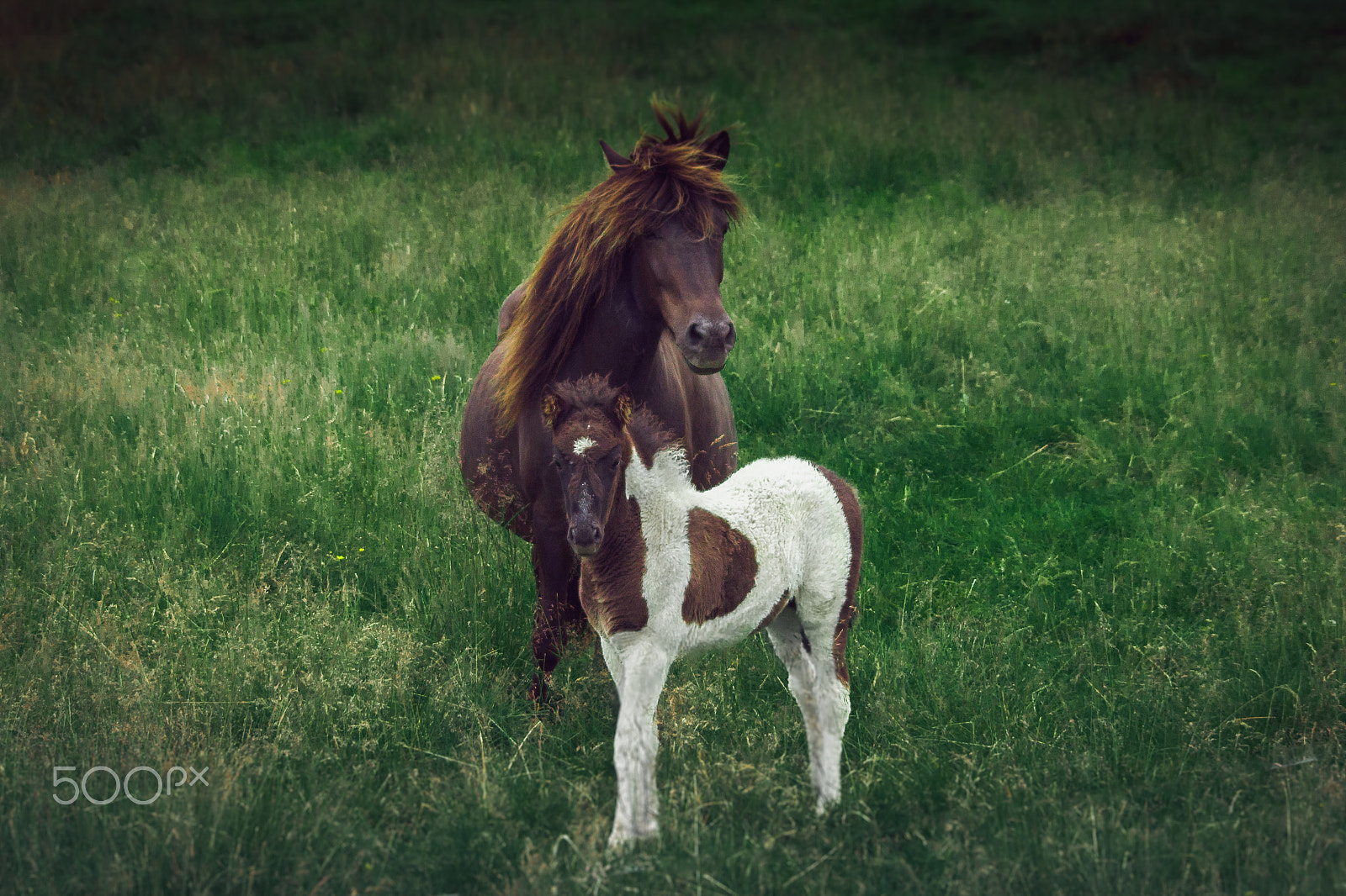 Canon EF 100-300mm f/5.6 sample photo. Mother with her baby photography