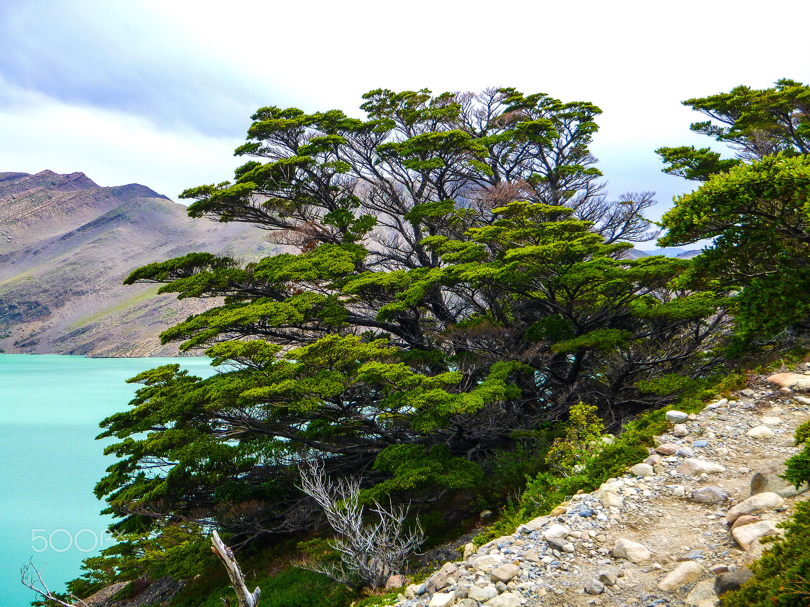 Panasonic DMC-TS20 sample photo. Patagonia photography