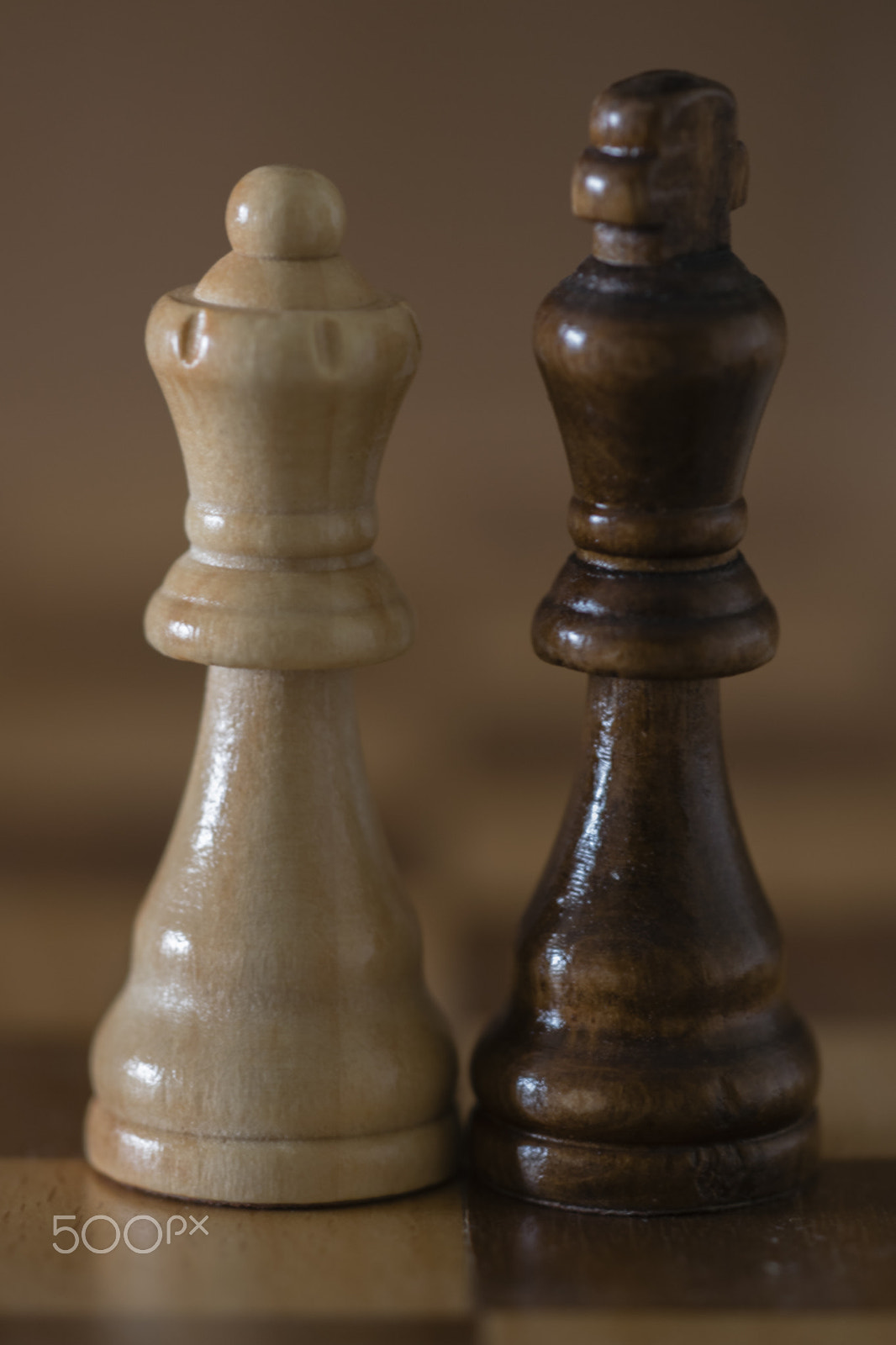 Sigma 150mm F2.8 EX DG Macro HSM sample photo. The king and the queen photography