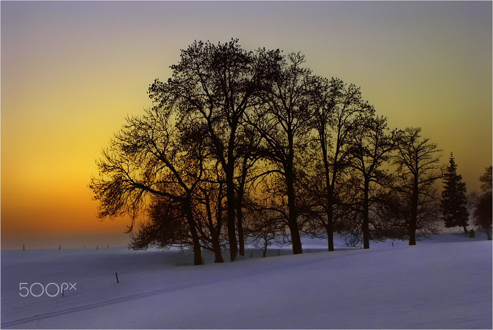 KONICA MINOLTA DiMAGE A1 sample photo. Sonnenuntergang photography