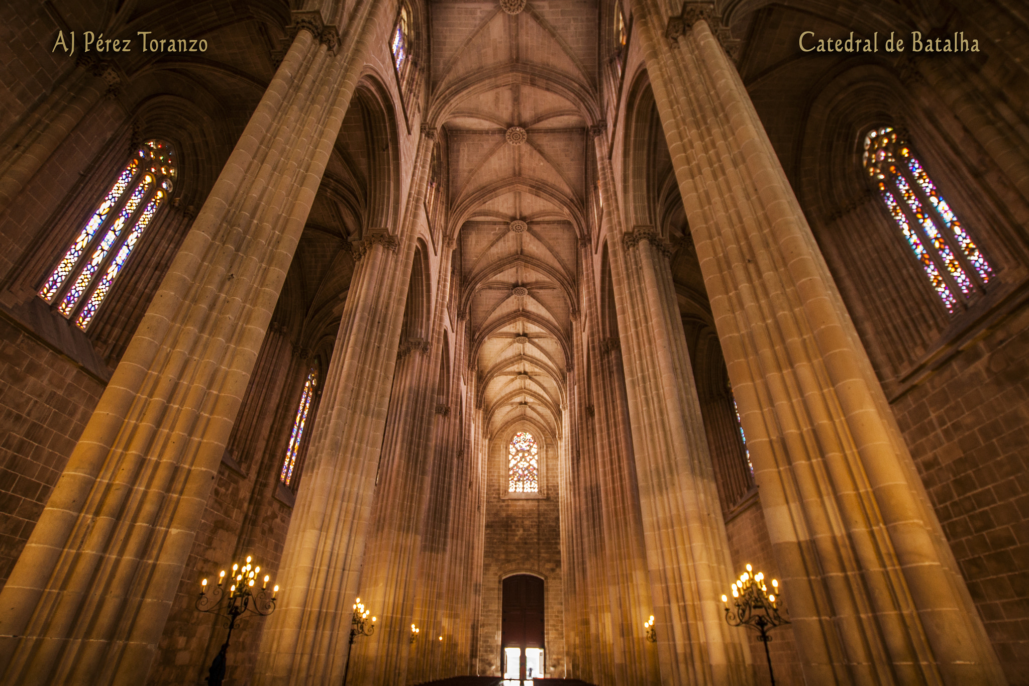 Sigma 10-20mm F3.5 EX DC HSM sample photo. Int cat bat firm photography