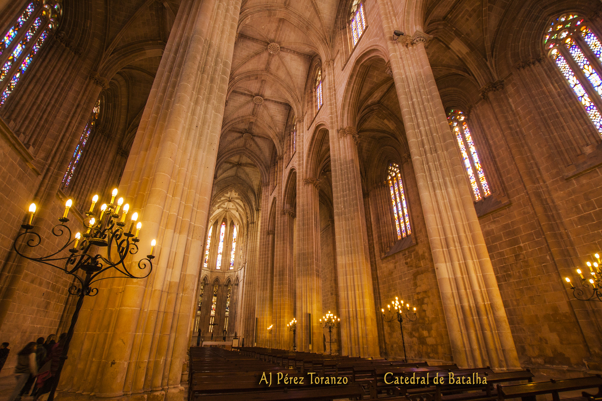 Sigma 10-20mm F3.5 EX DC HSM sample photo. Int cat bat firm photography