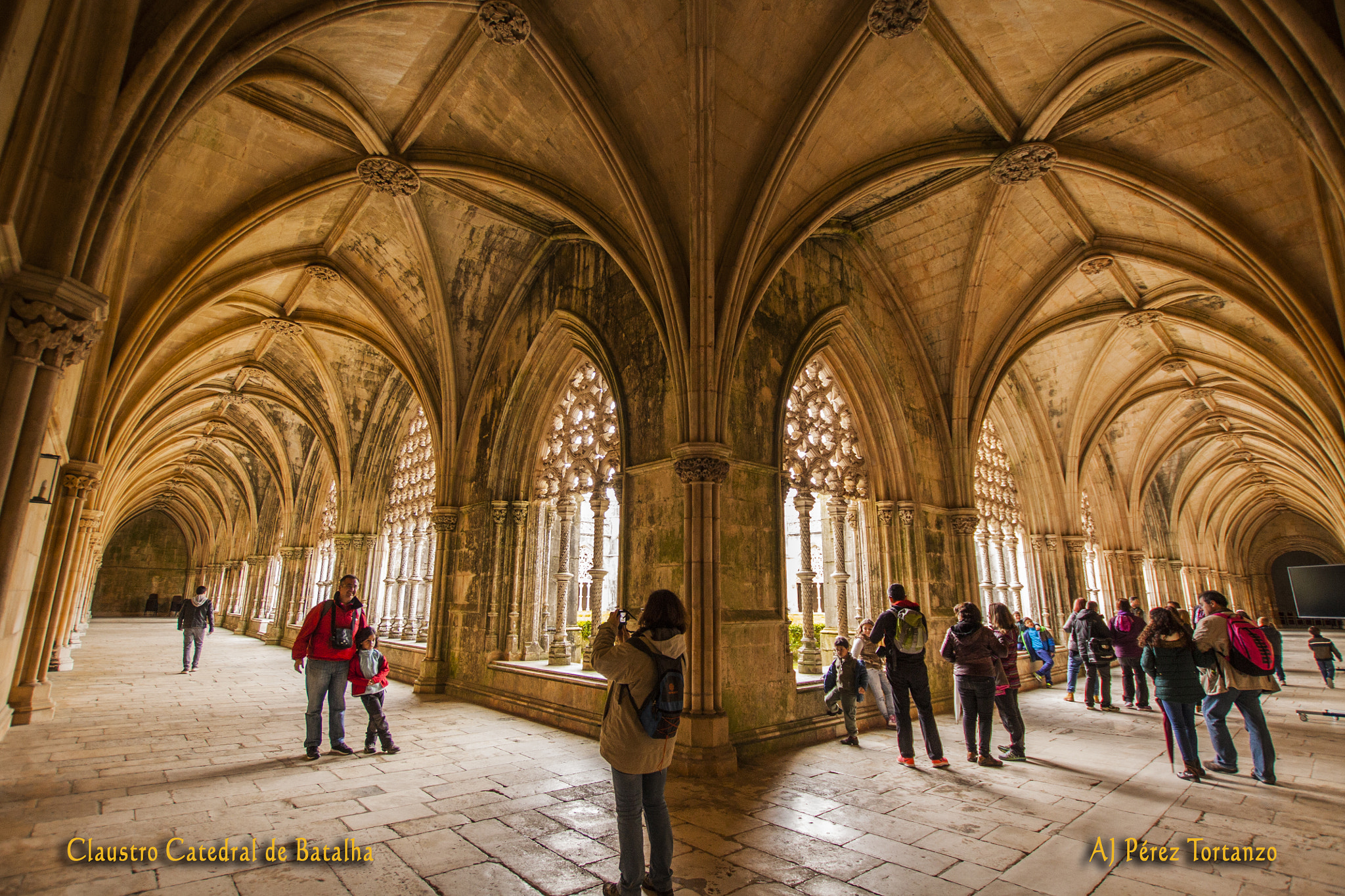 Sigma 10-20mm F3.5 EX DC HSM sample photo. Claustro cat bat firm photography