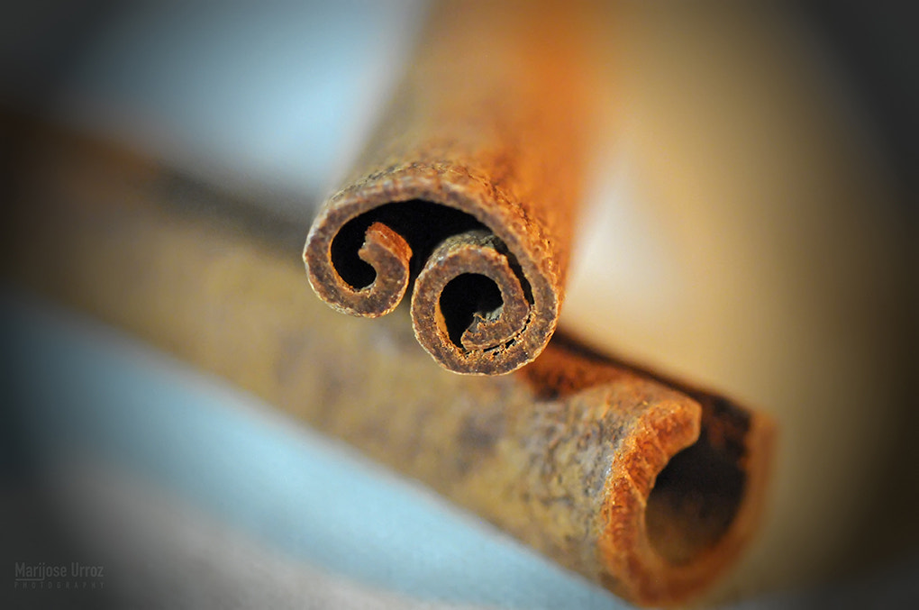 Sigma 105mm F2.8 EX DG OS HSM sample photo. Cinnamon photography