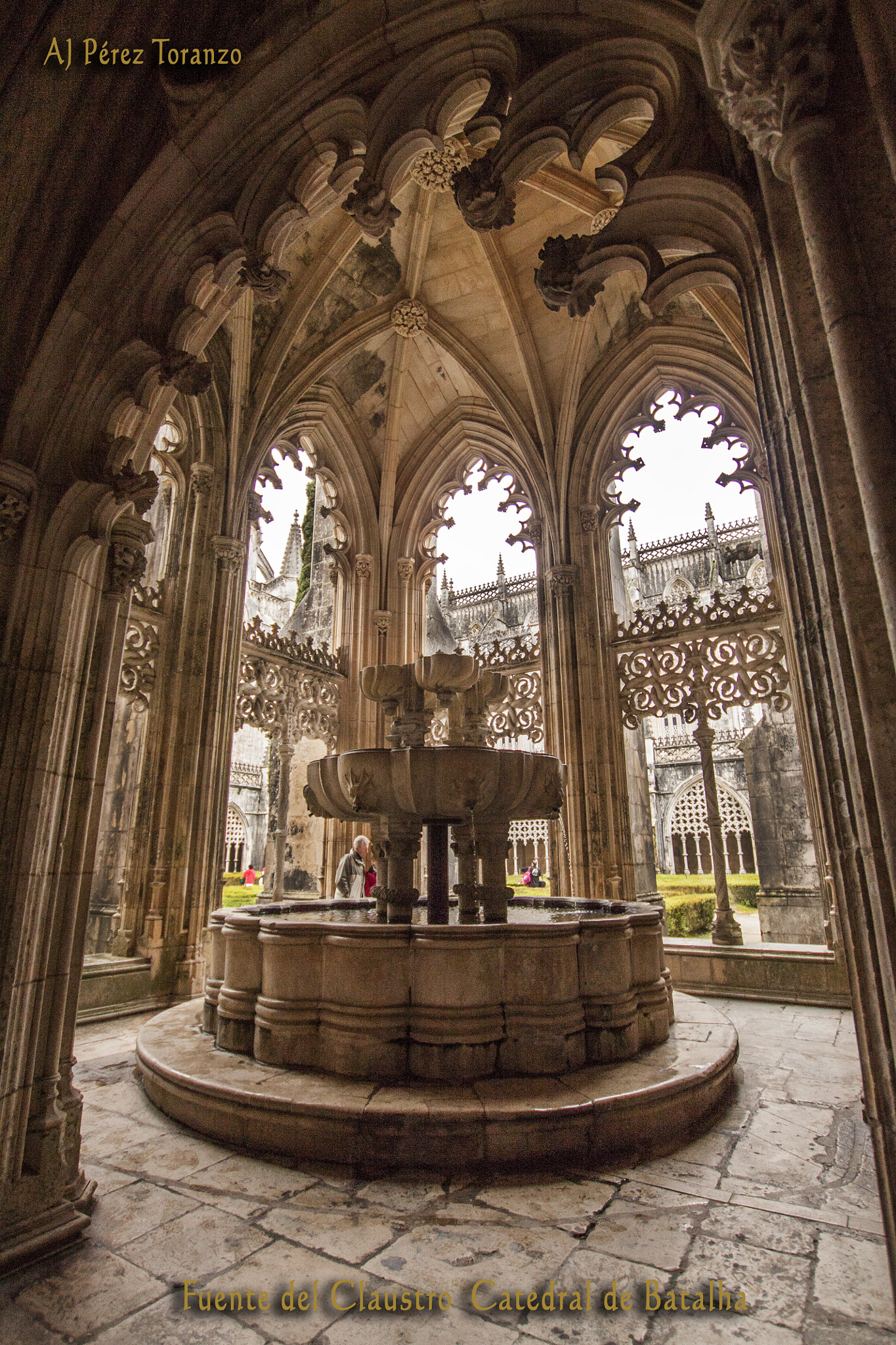 Sigma 10-20mm F3.5 EX DC HSM sample photo. Fuente claustro cat bat firm photography