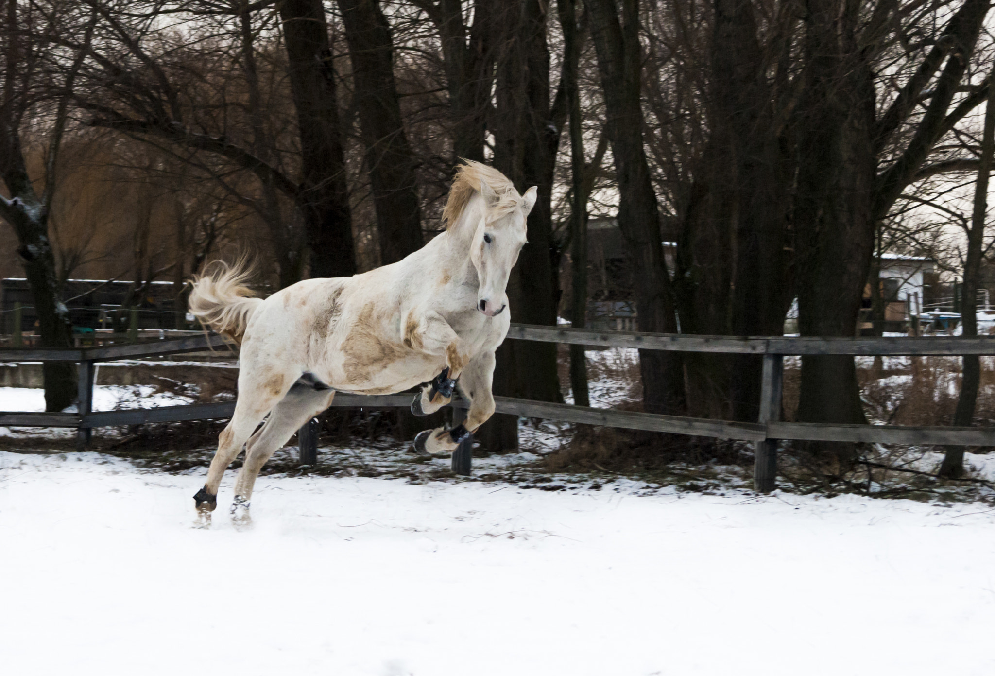 AF Zoom-Nikkor 35-105mm f/3.5-4.5D sample photo. 21 years old and full of energy photography