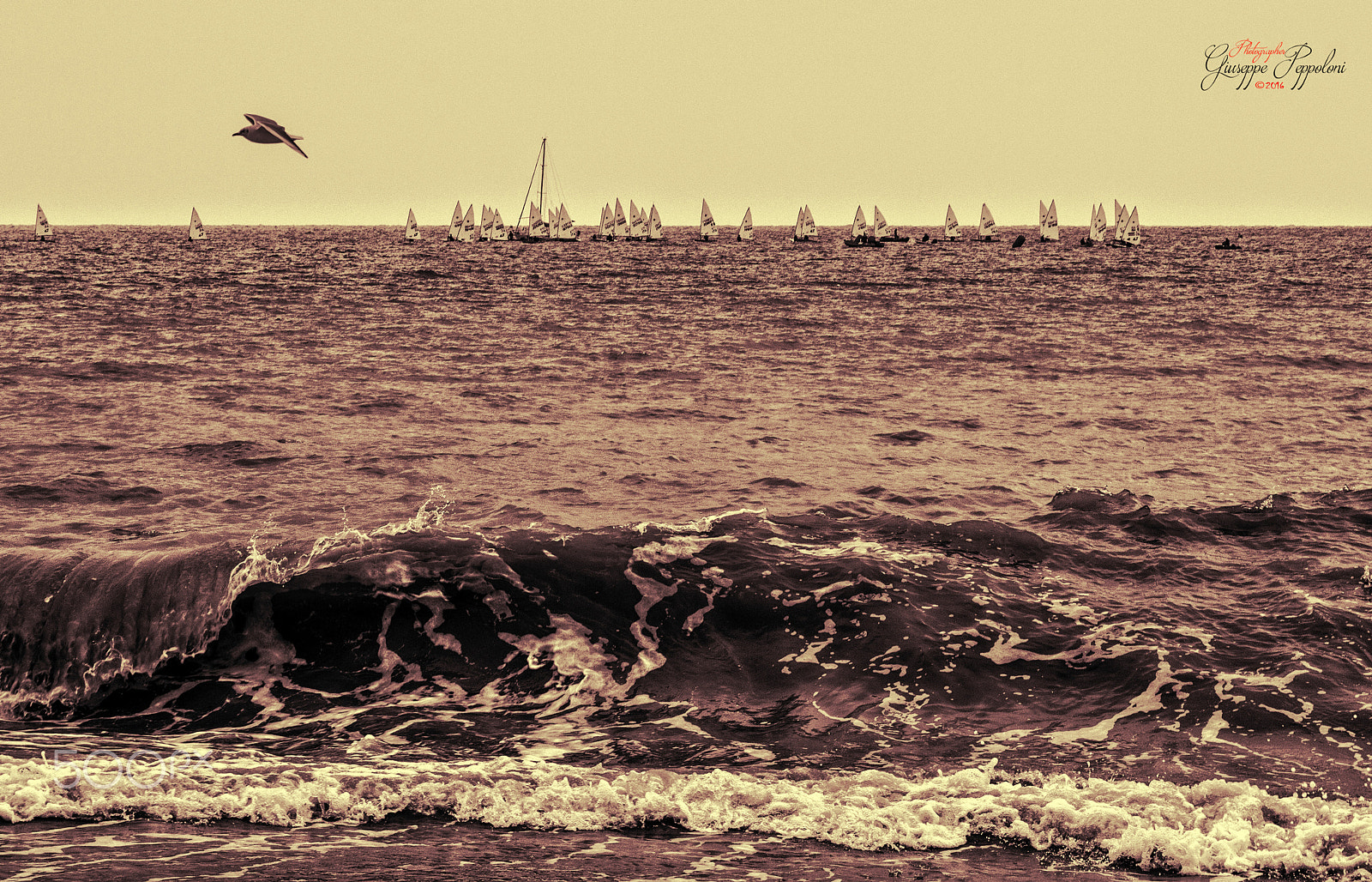 Canon EOS 60D + Sigma 50-200mm F4-5.6 DC OS HSM sample photo. Sailboats photography