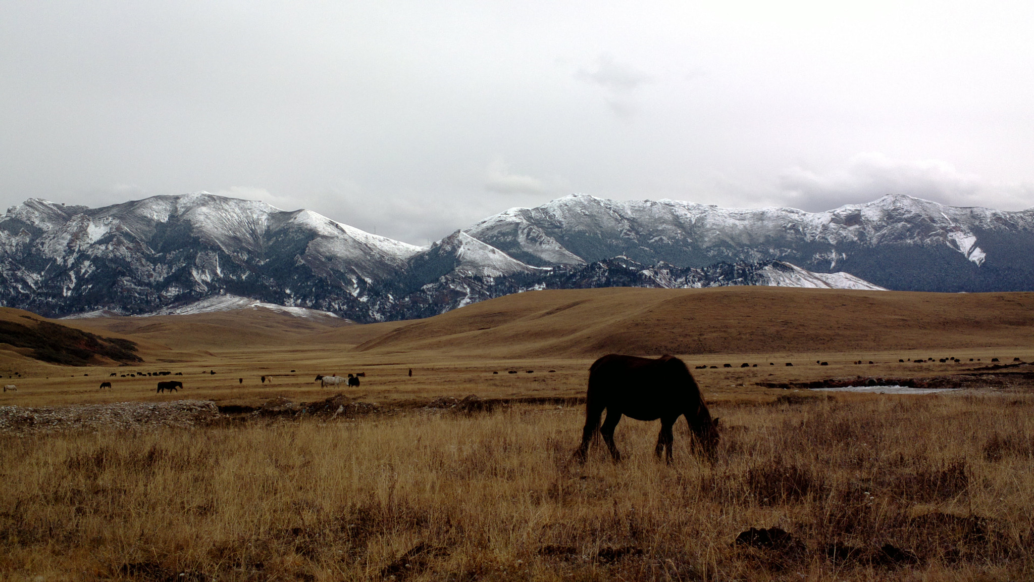 Nokia 808 sample photo. Southern gansu。china。by nokia 808 photography