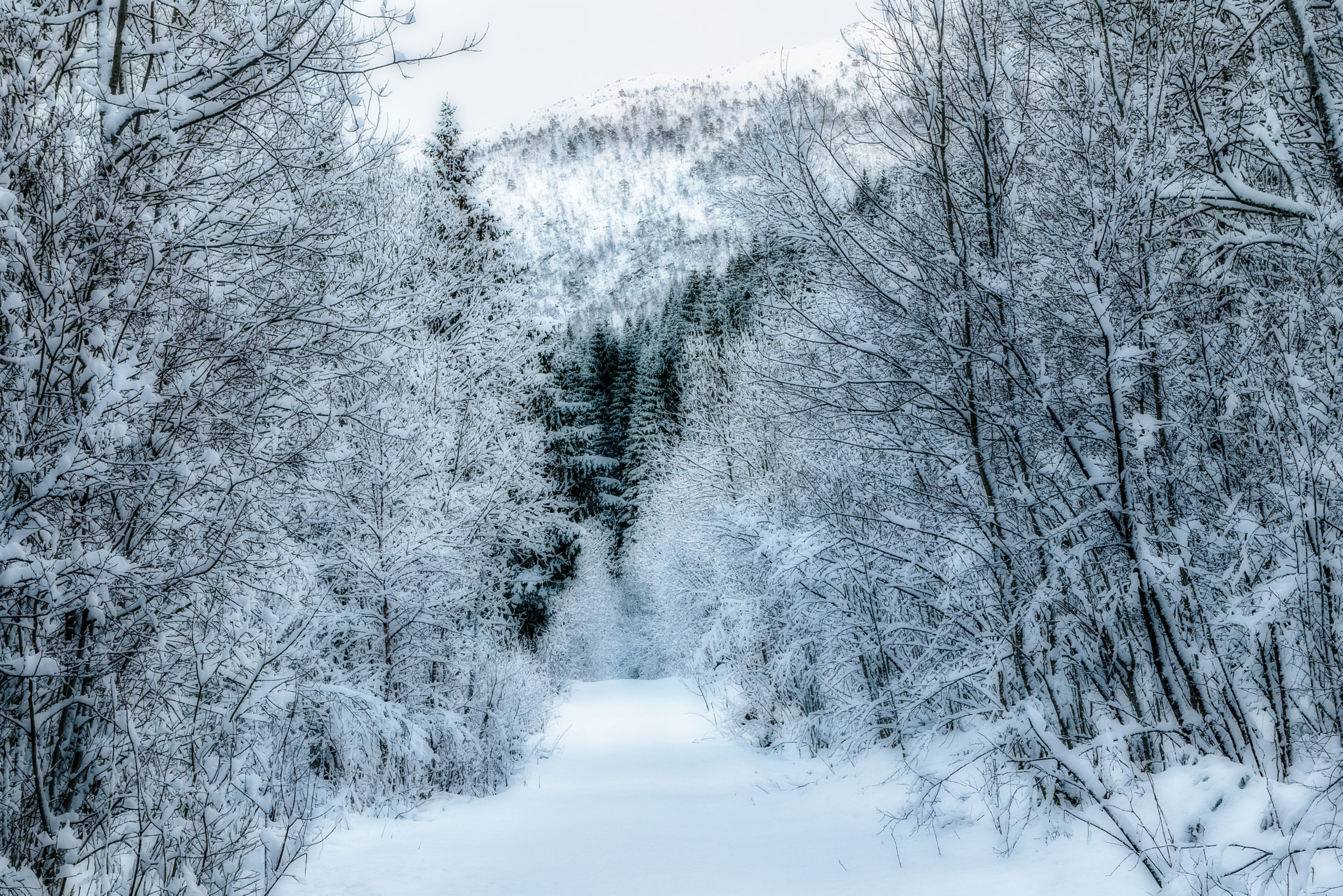 Canon EOS 80D + Sigma 17-70mm F2.8-4 DC Macro OS HSM | C sample photo. Winter landscape photography