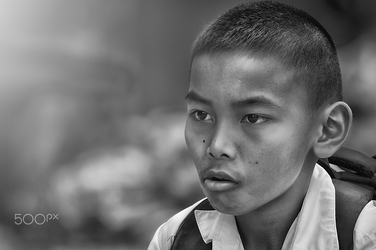 Nikon D5500 sample photo. Tan 2 photography