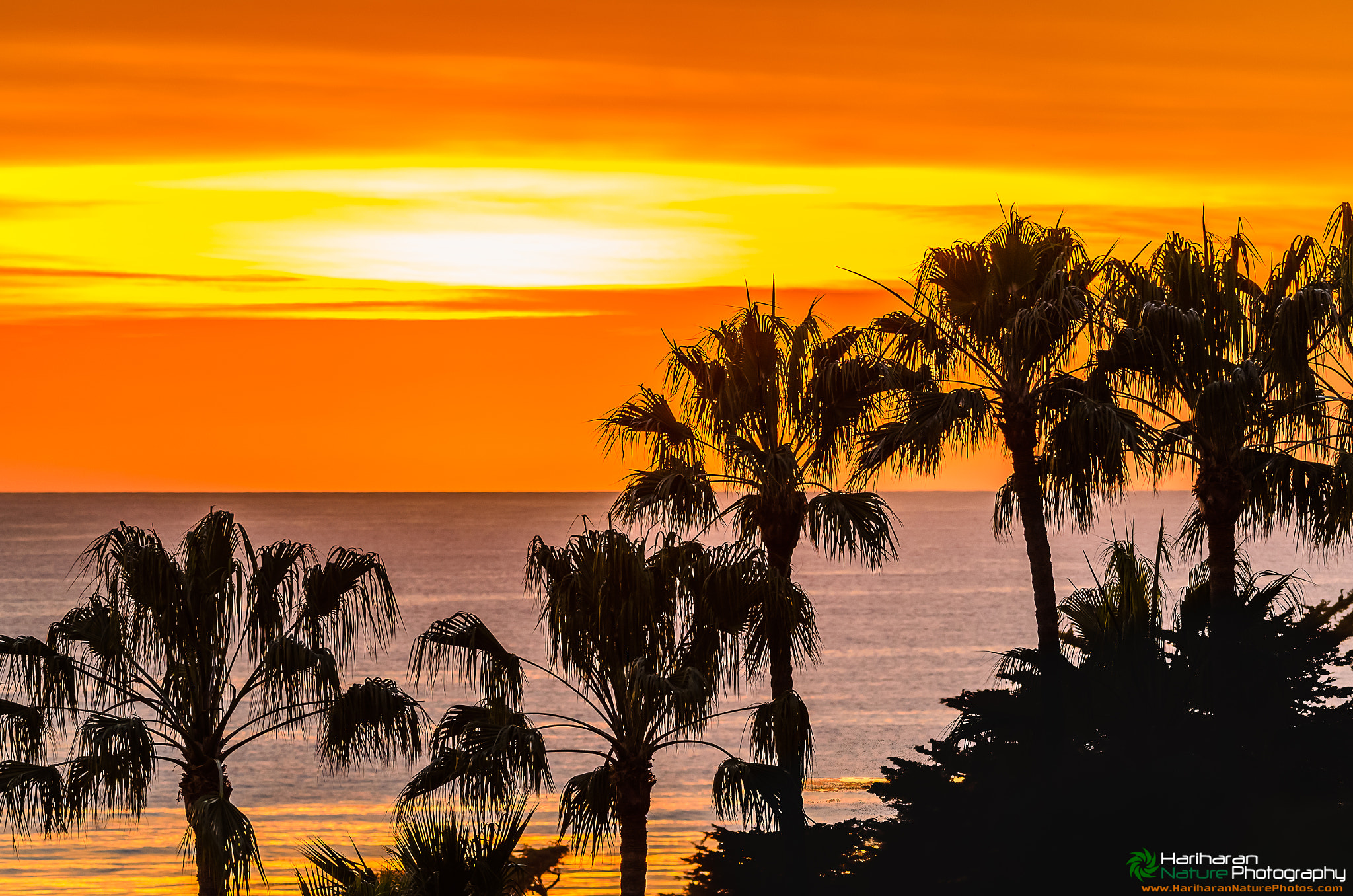 Sigma 150-500mm F5-6.3 DG OS HSM sample photo. Post sunset at mallibu beach photography