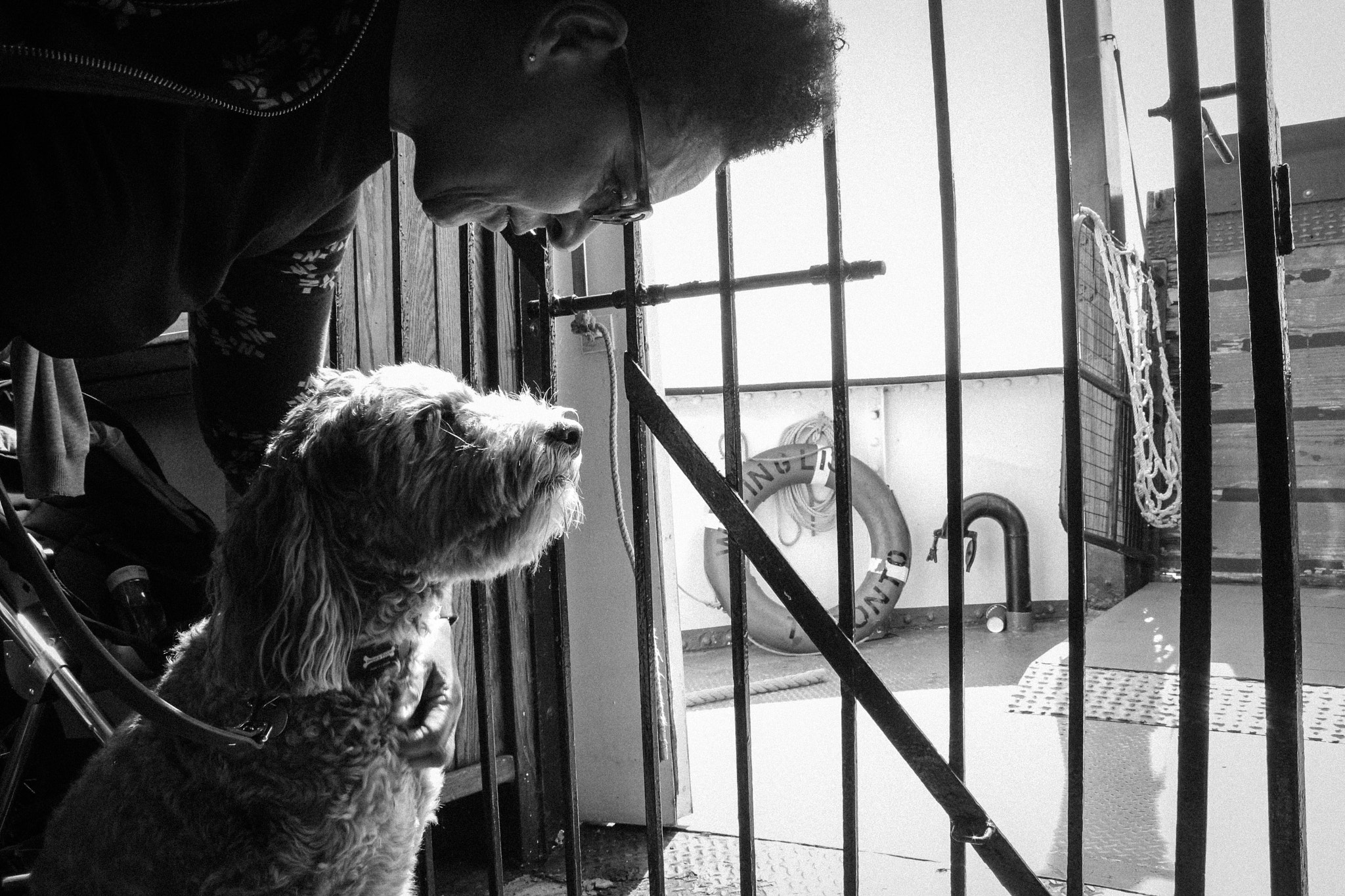 Canon EOS 700D (EOS Rebel T5i / EOS Kiss X7i) sample photo. Dog and owner - a tranquil moment photography
