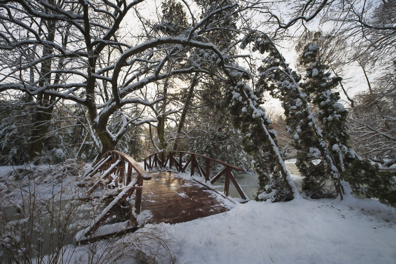 Fujifilm X-E1 + Fujifilm XF 10-24mm F4 R OIS sample photo. Bridge photography