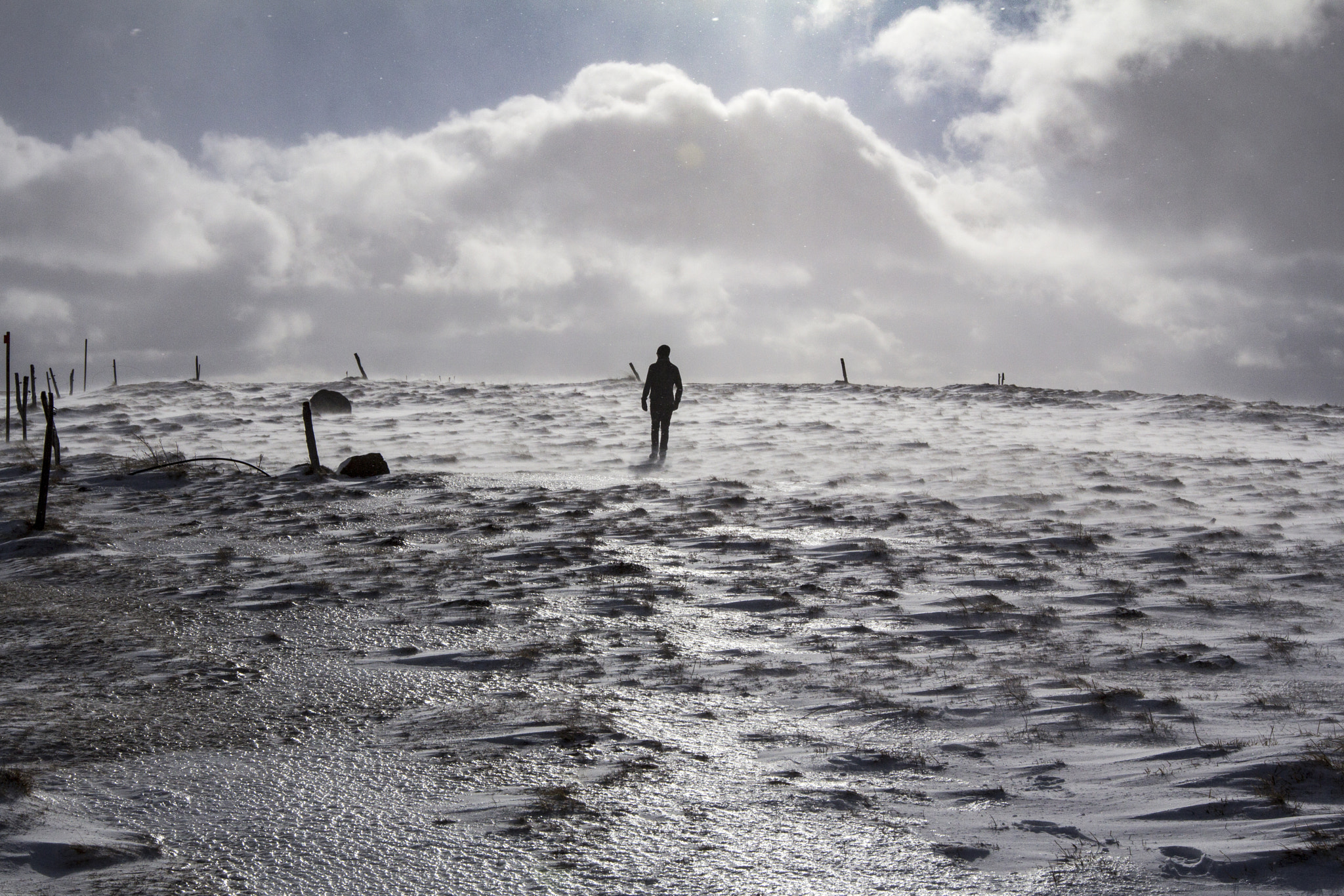 Canon EF 16-35mm F2.8L II USM sample photo. The ice walker photography