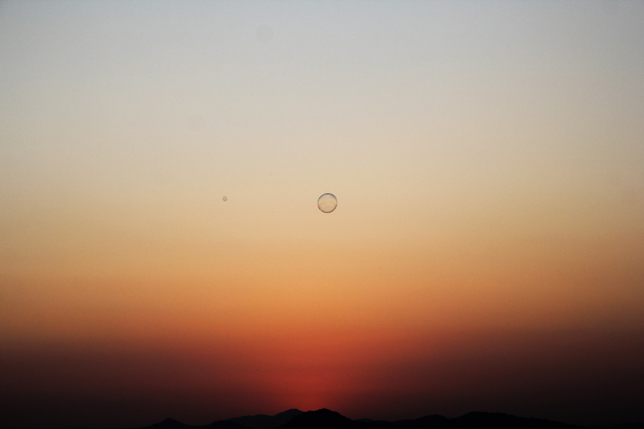 Canon EOS 60D sample photo. Img photography