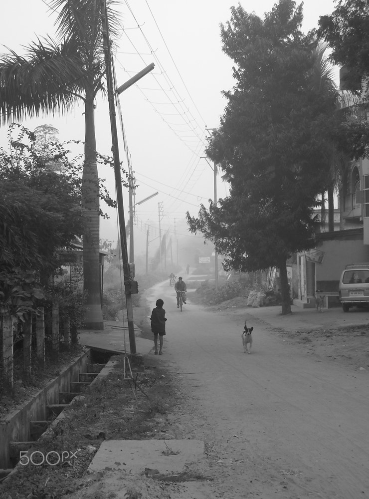 Nikon Coolpix L18 sample photo. Foggy morning photography