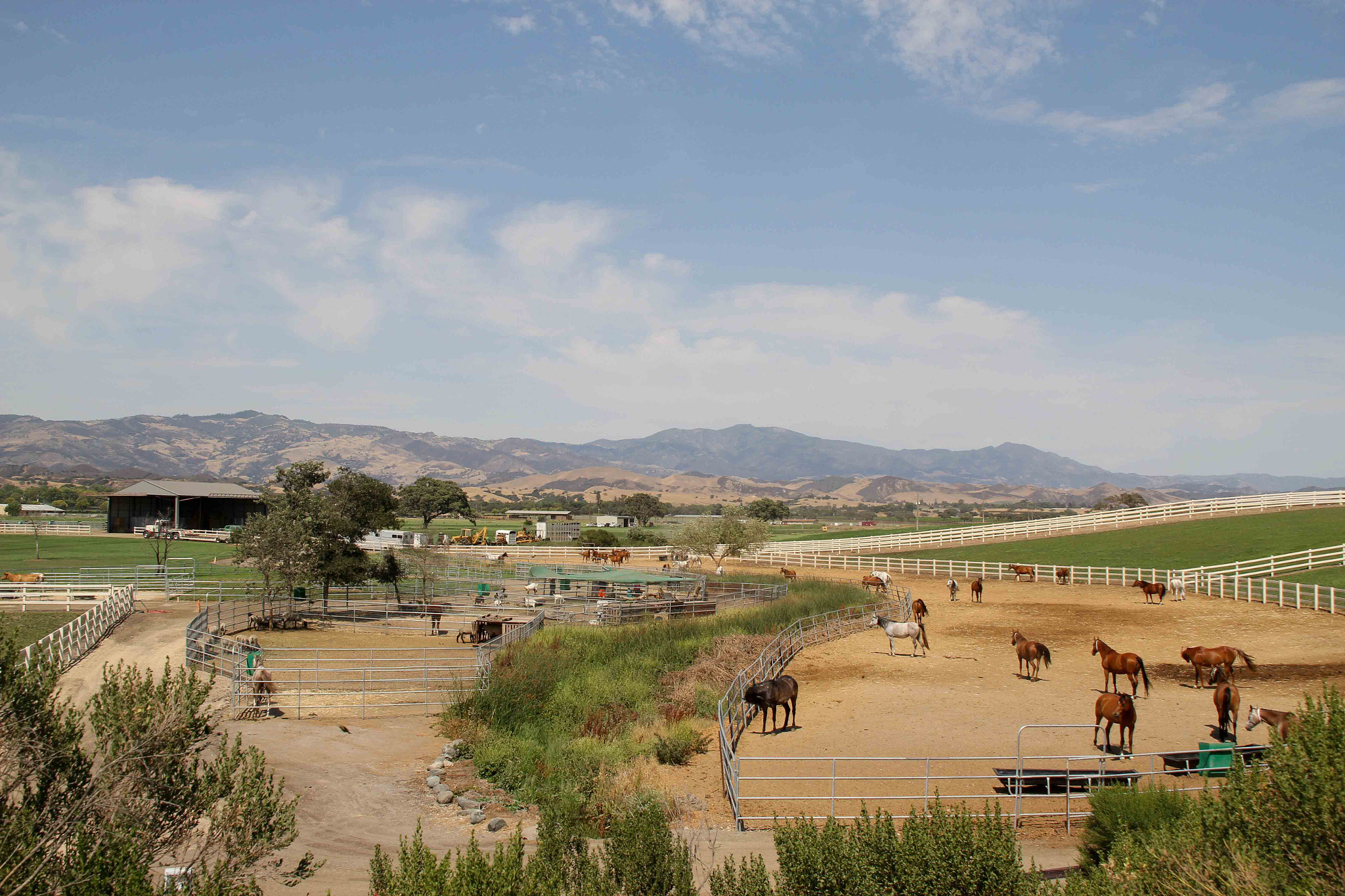 Canon EOS 60D sample photo. Californie photography