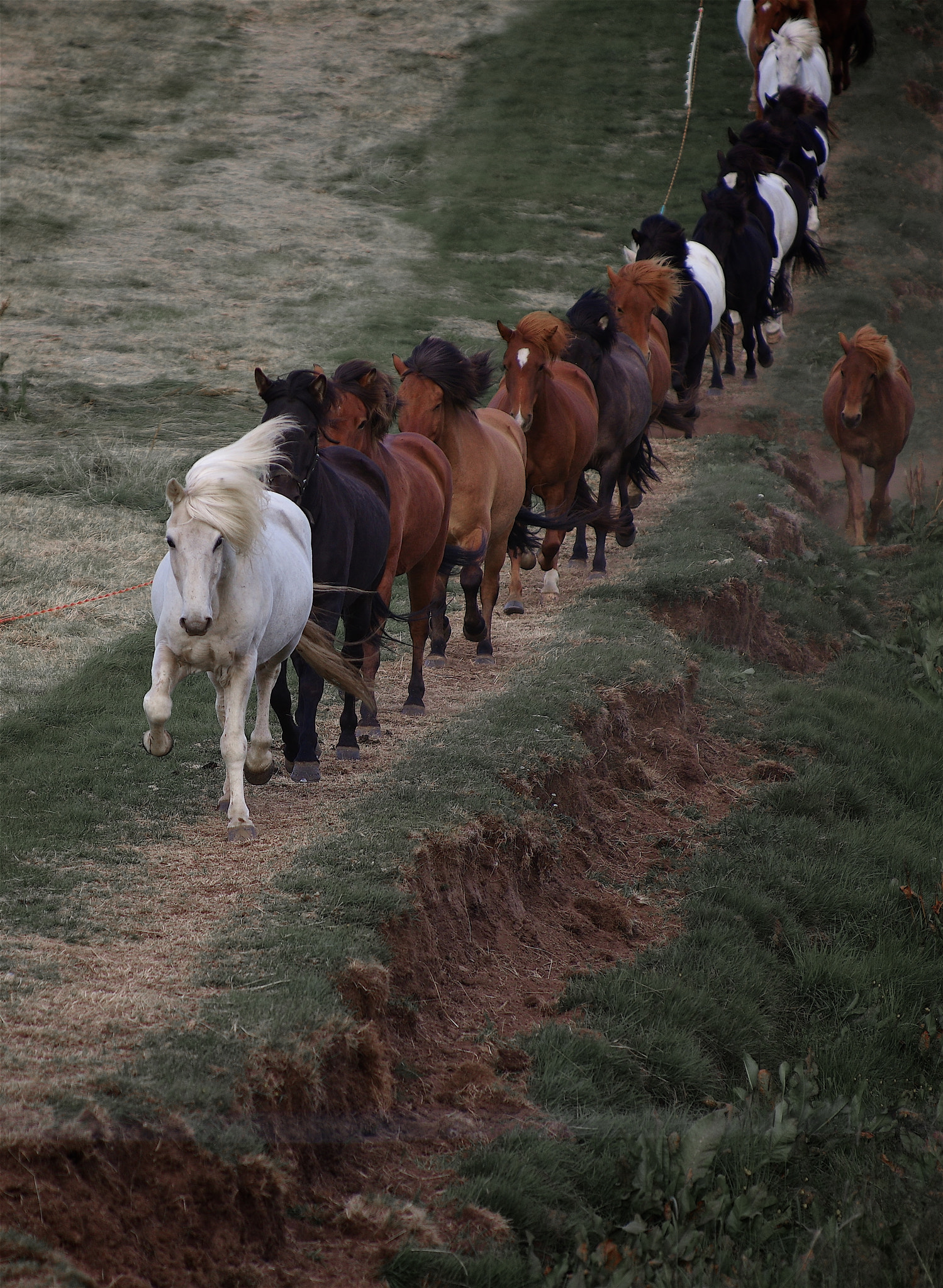 Pentax K-3 II sample photo. Long line photography