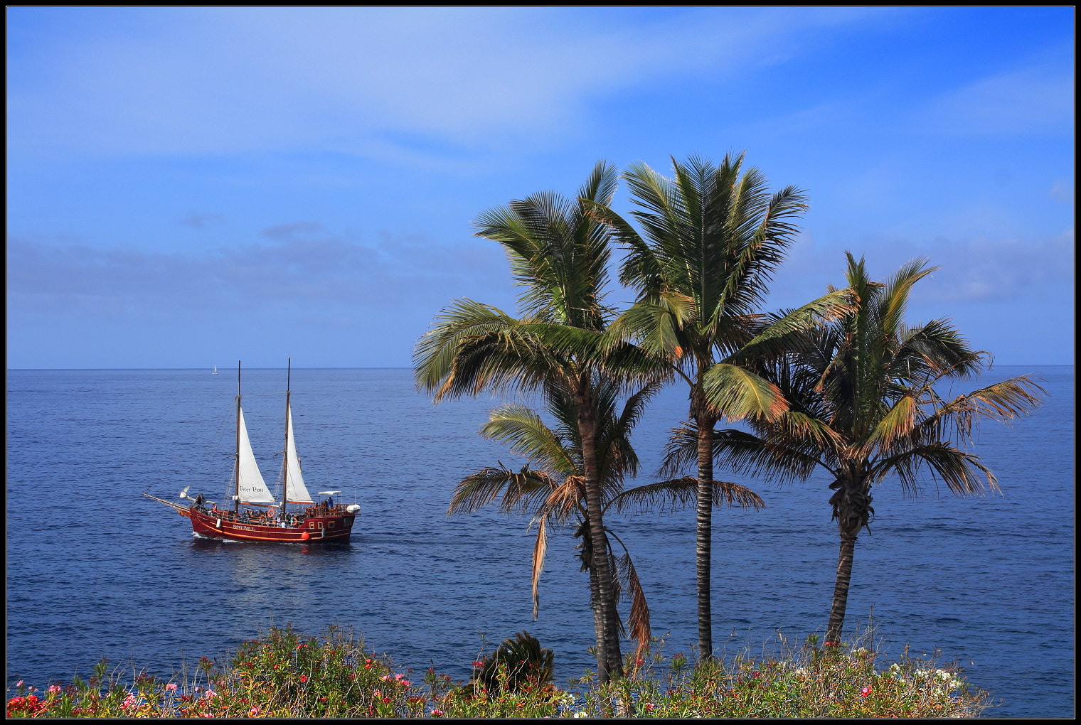 Sigma 18-125mm f/3.5-5.6 DC IF ASP sample photo. White sails photography