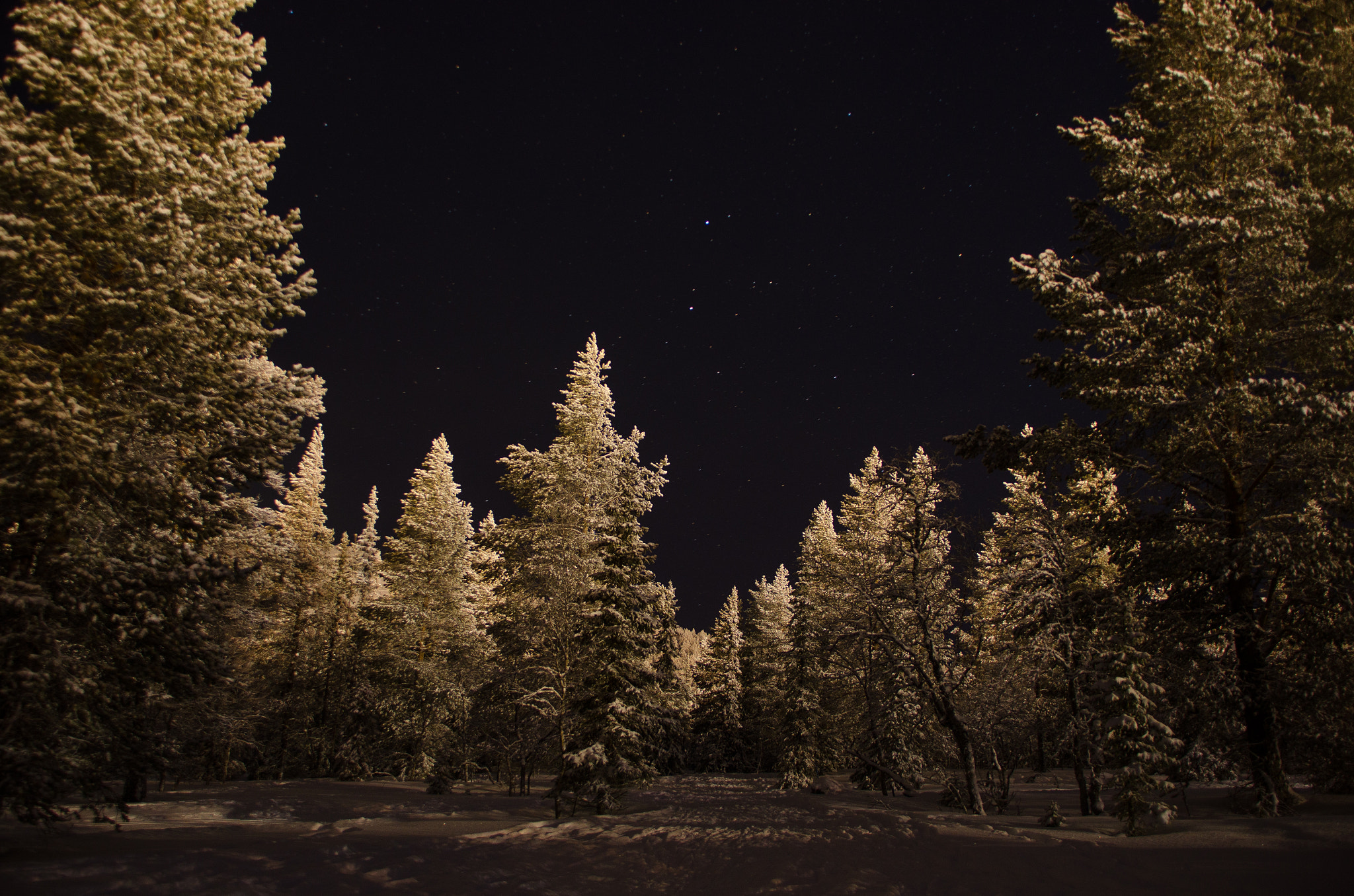 Sigma 18-200mm F3.5-6.3 DC OS HSM sample photo. Lapland photography
