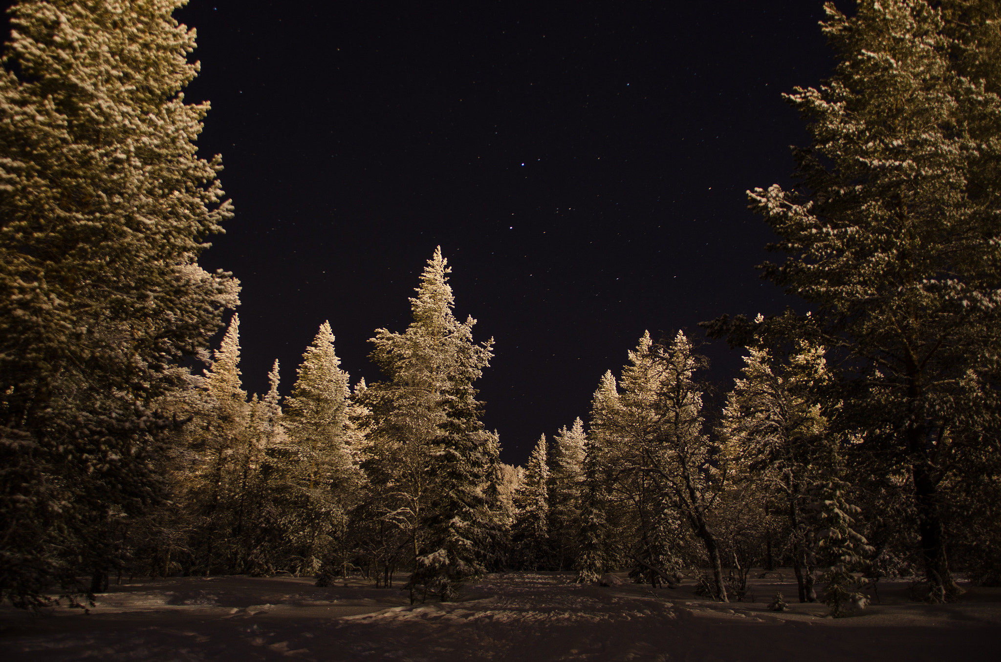 Nikon D7000 + Sigma 18-200mm F3.5-6.3 DC OS HSM sample photo. Lapland photography