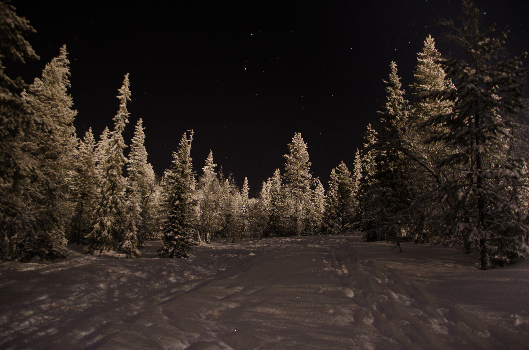 Sigma 18-200mm F3.5-6.3 DC OS HSM sample photo. Lapland photography