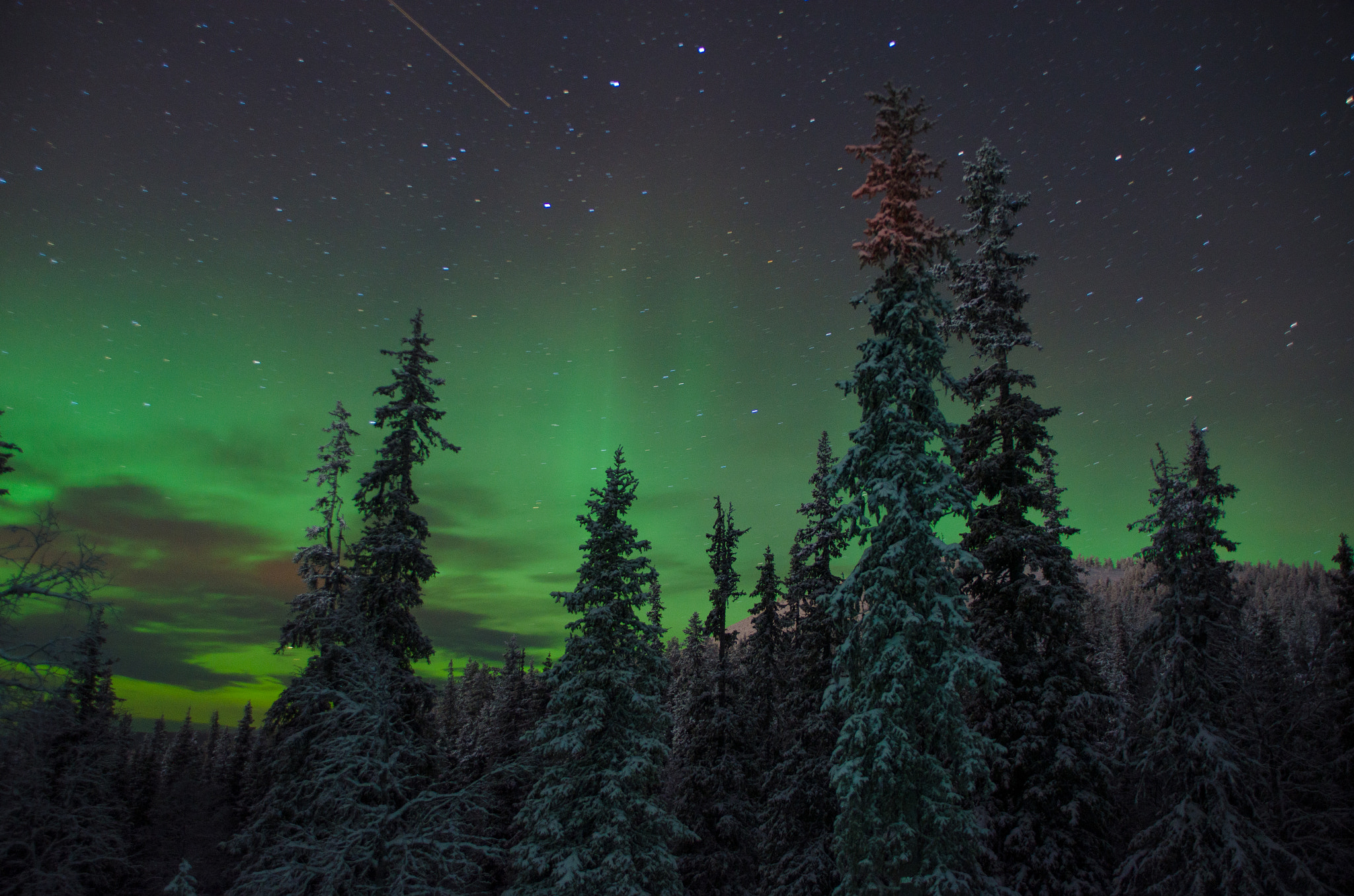 Sigma 18-200mm F3.5-6.3 DC OS HSM sample photo. Aurora borealis photography