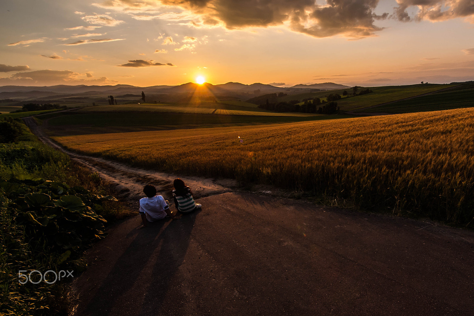 OLYMPUS  7-14mm Lens sample photo. Golden hill sweetheart photography