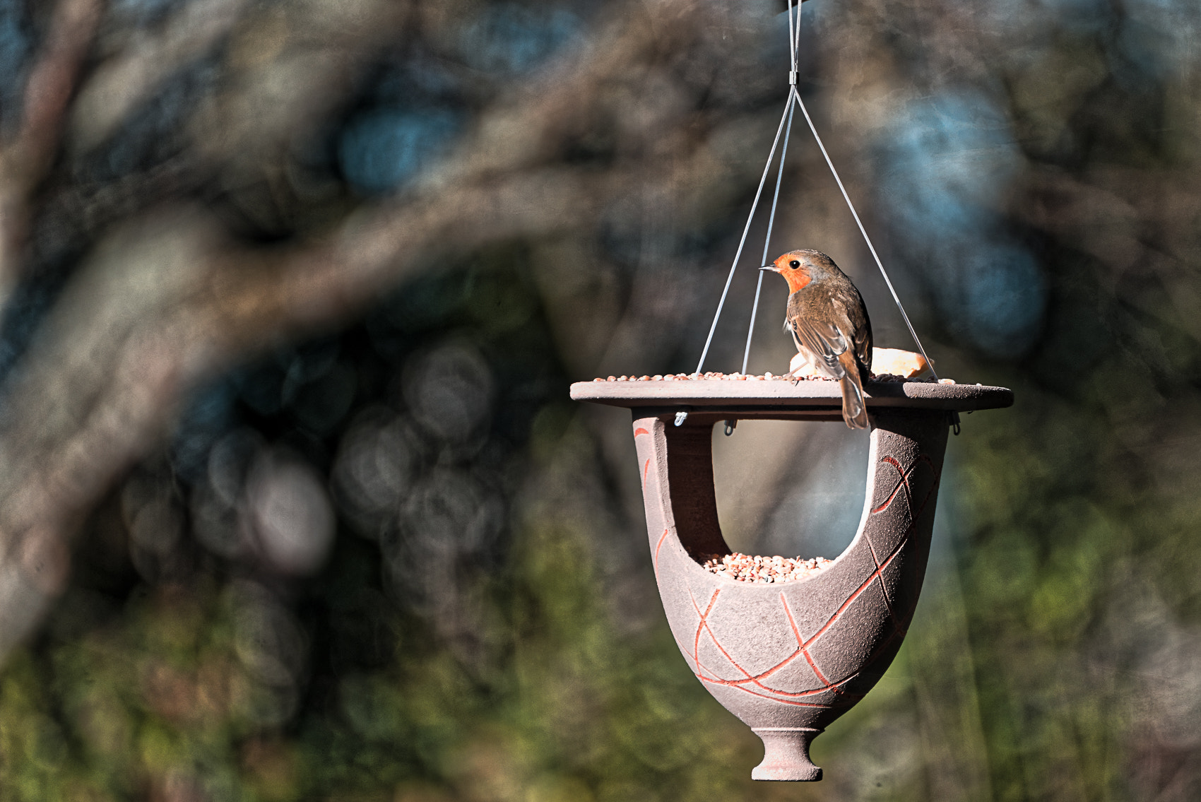 Nikon D800 sample photo