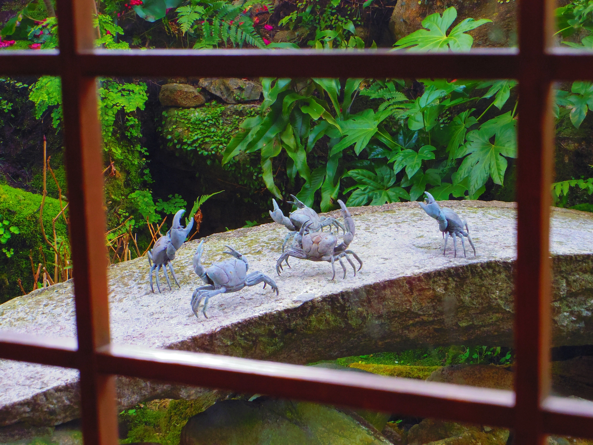 Pentax 02 Standard Zoom sample photo. Dancing crabs photography