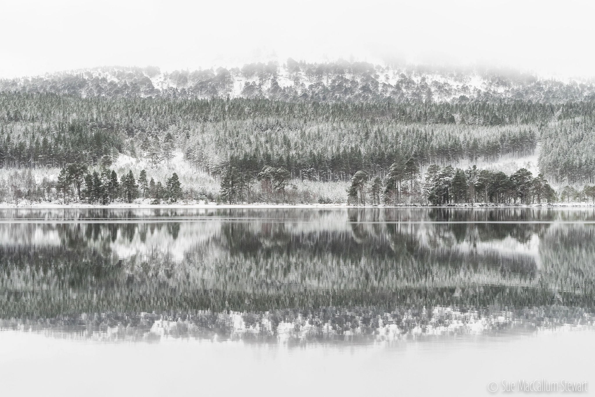 Olympus OM-D E-M1 + Olympus M.Zuiko Digital ED 40-150mm F2.8 Pro sample photo. Reflecting in the cairngorms photography