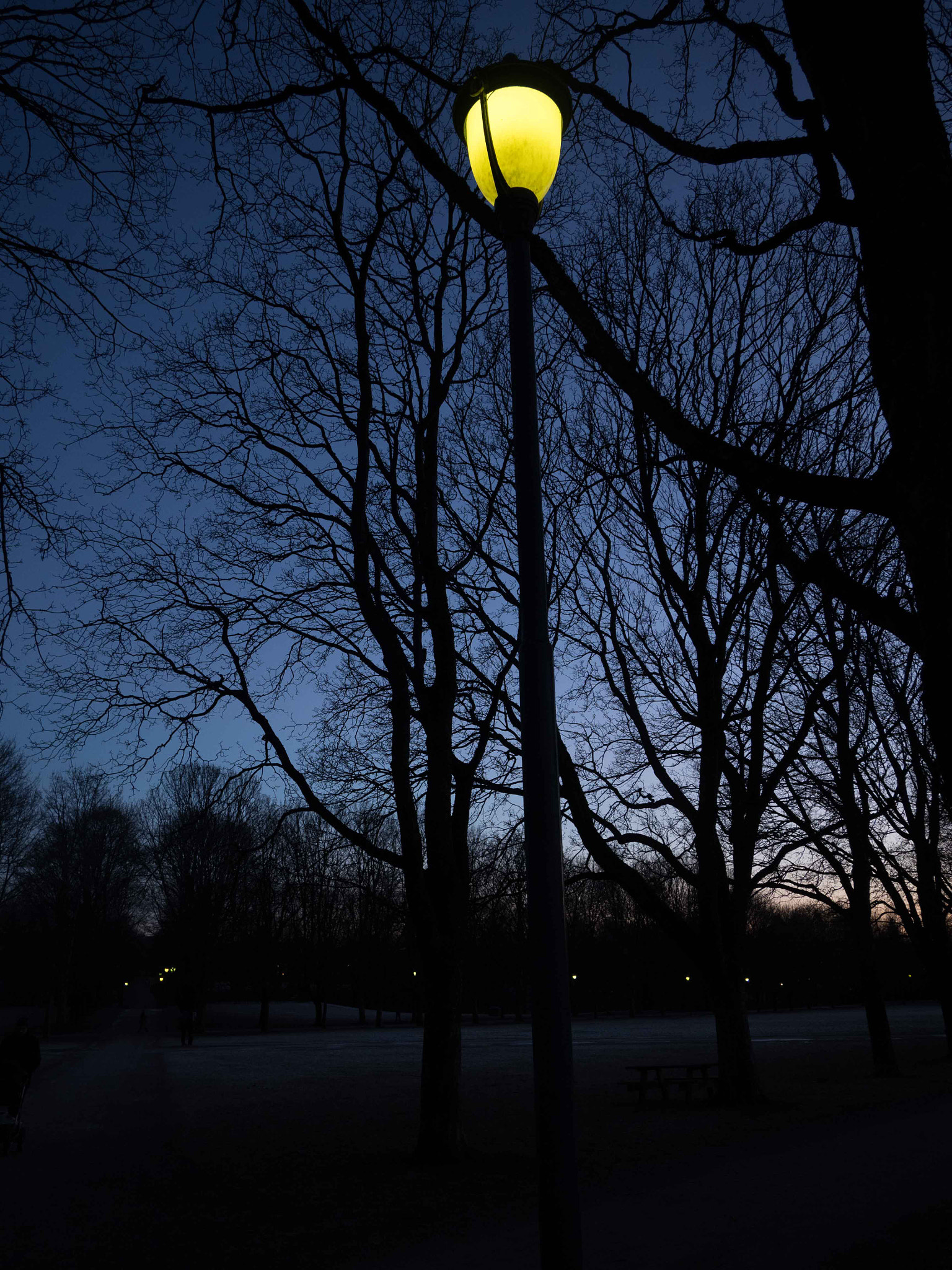 Panasonic Lumix G Vario 7-14mm F4 ASPH sample photo. Light in frognerparken  photography
