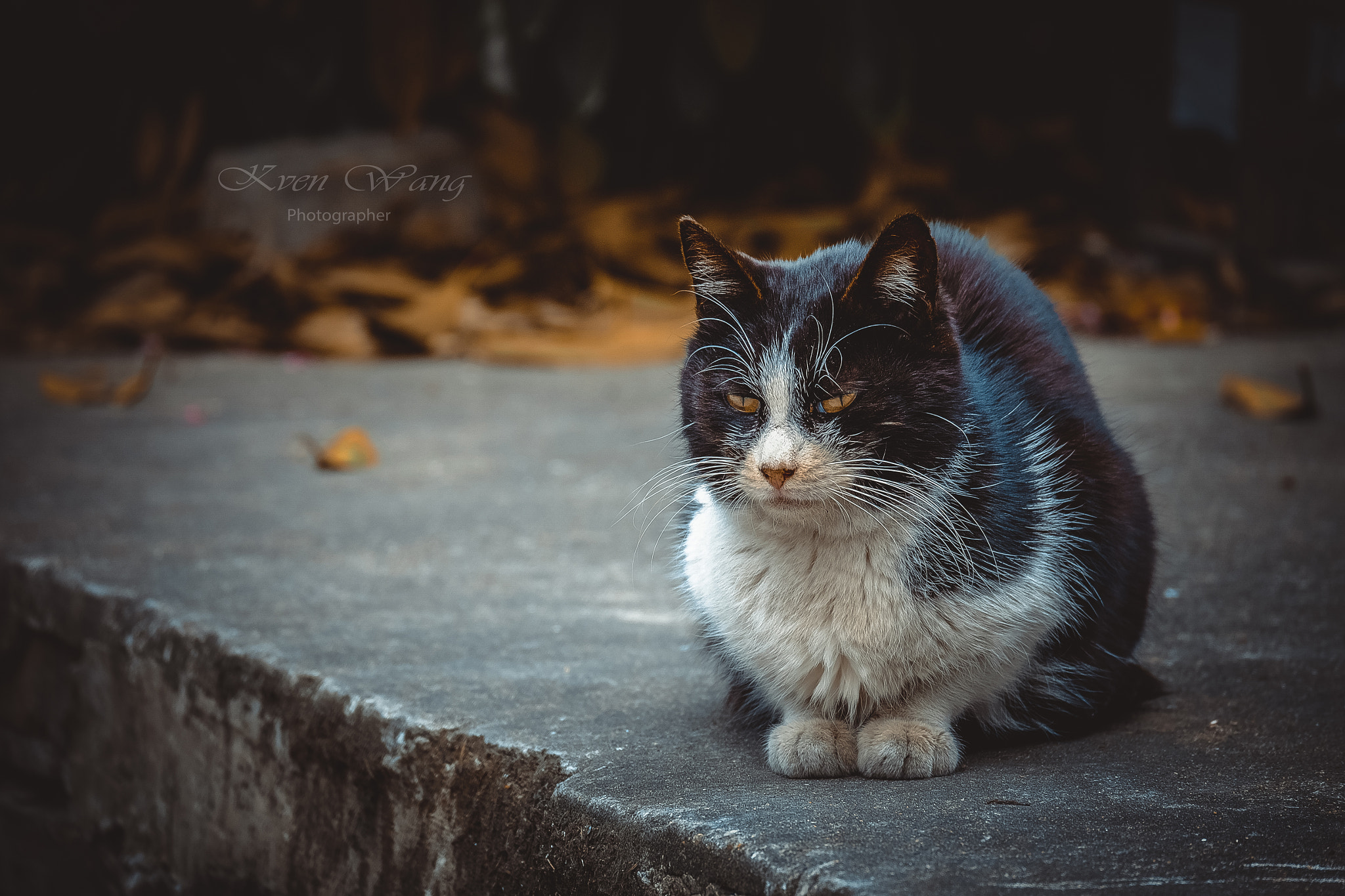 Fujifilm X-T10 + Fujifilm XC 50-230mm F4.5-6.7 OIS II sample photo. The weather is too cold. photography